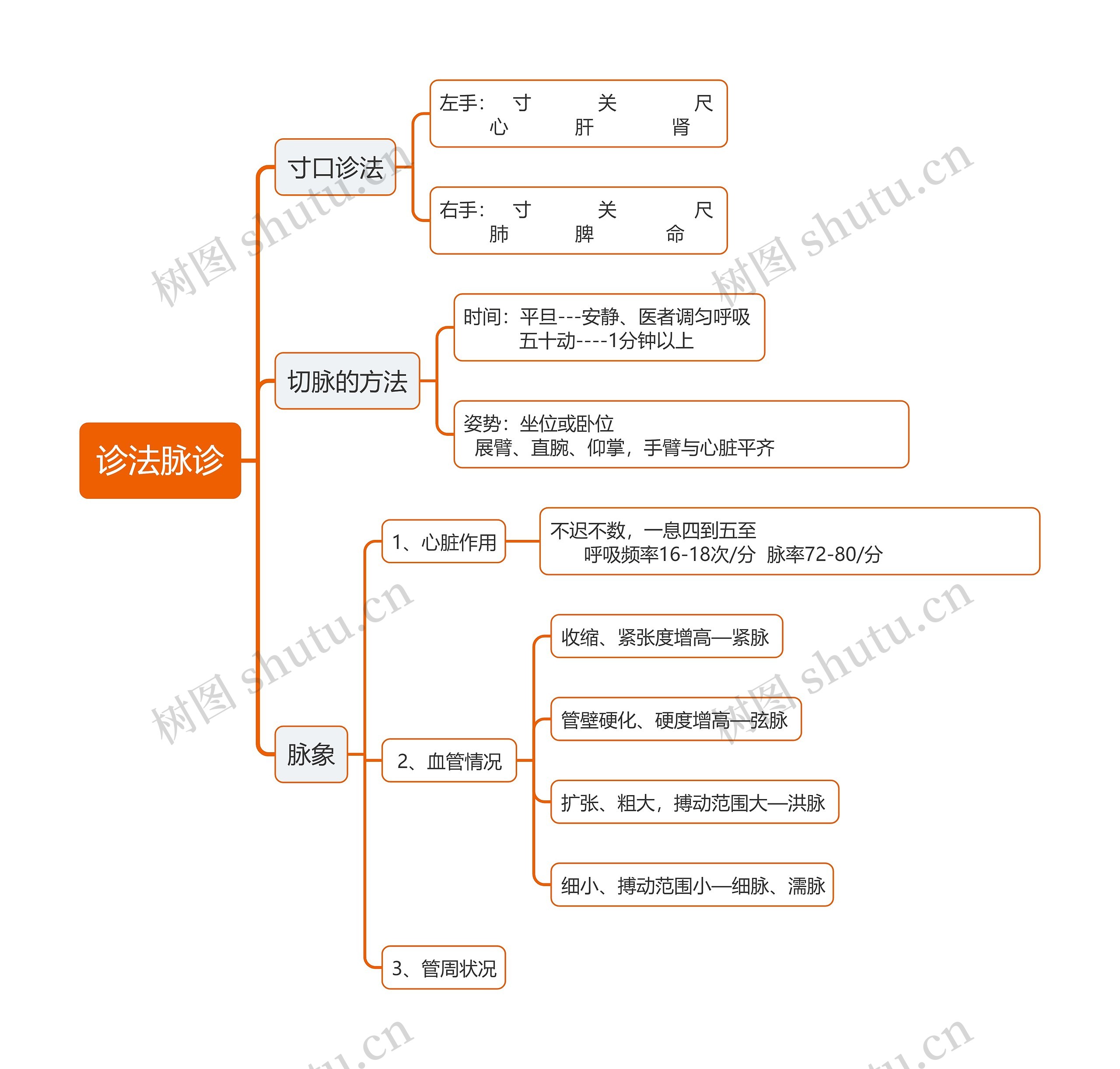 诊法脉诊思维导图