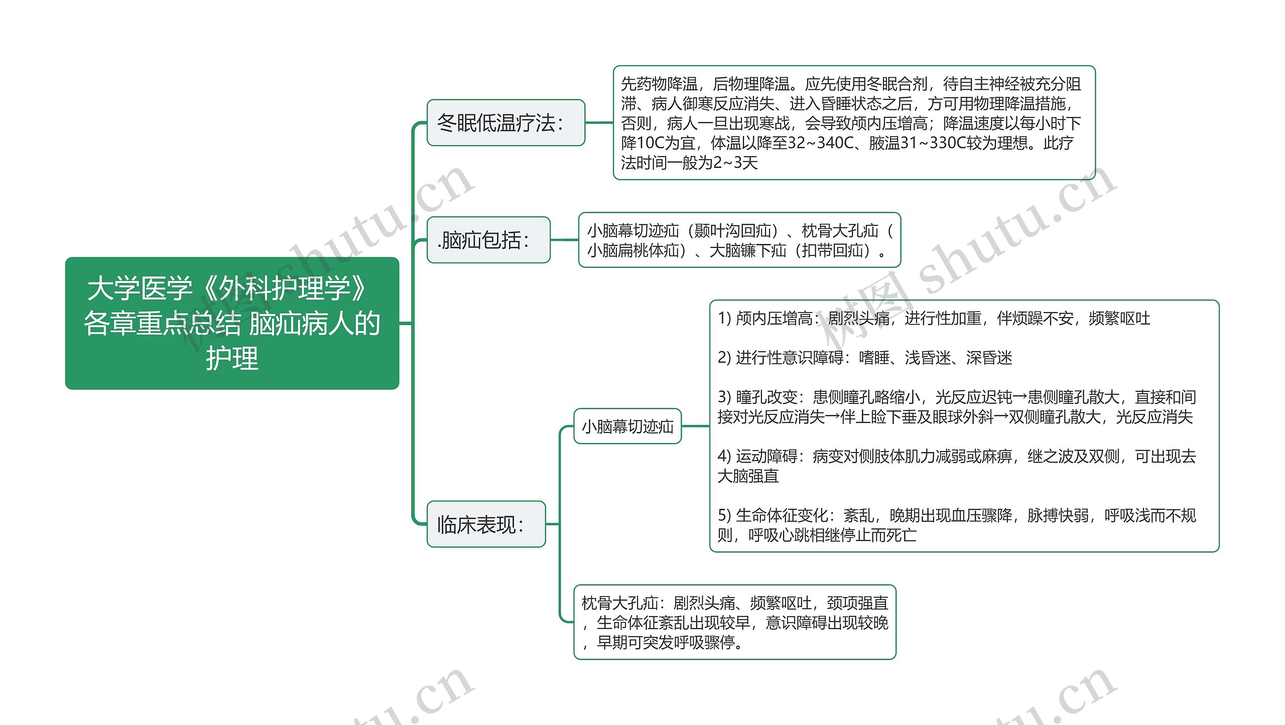 脑疝病人的护理