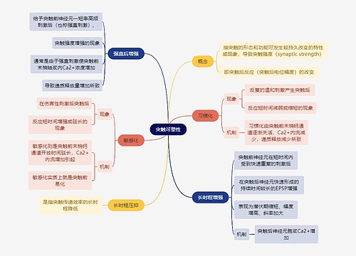 医学知识突触可塑性思维导图