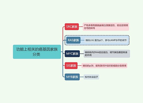 医学知识功能上相关的癌基因家族分类思维导图