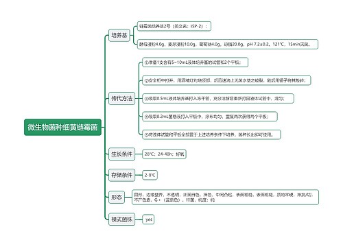 微生物菌种细黄链霉菌思维导图