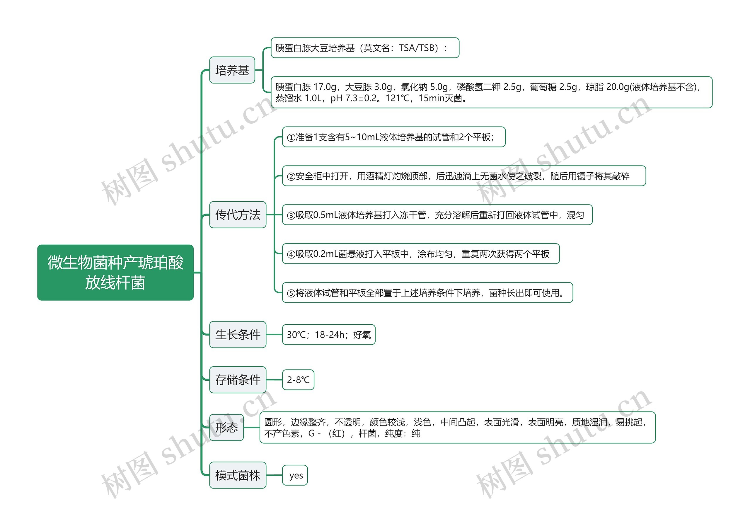 微生物菌种产琥珀酸放线杆菌思维导图