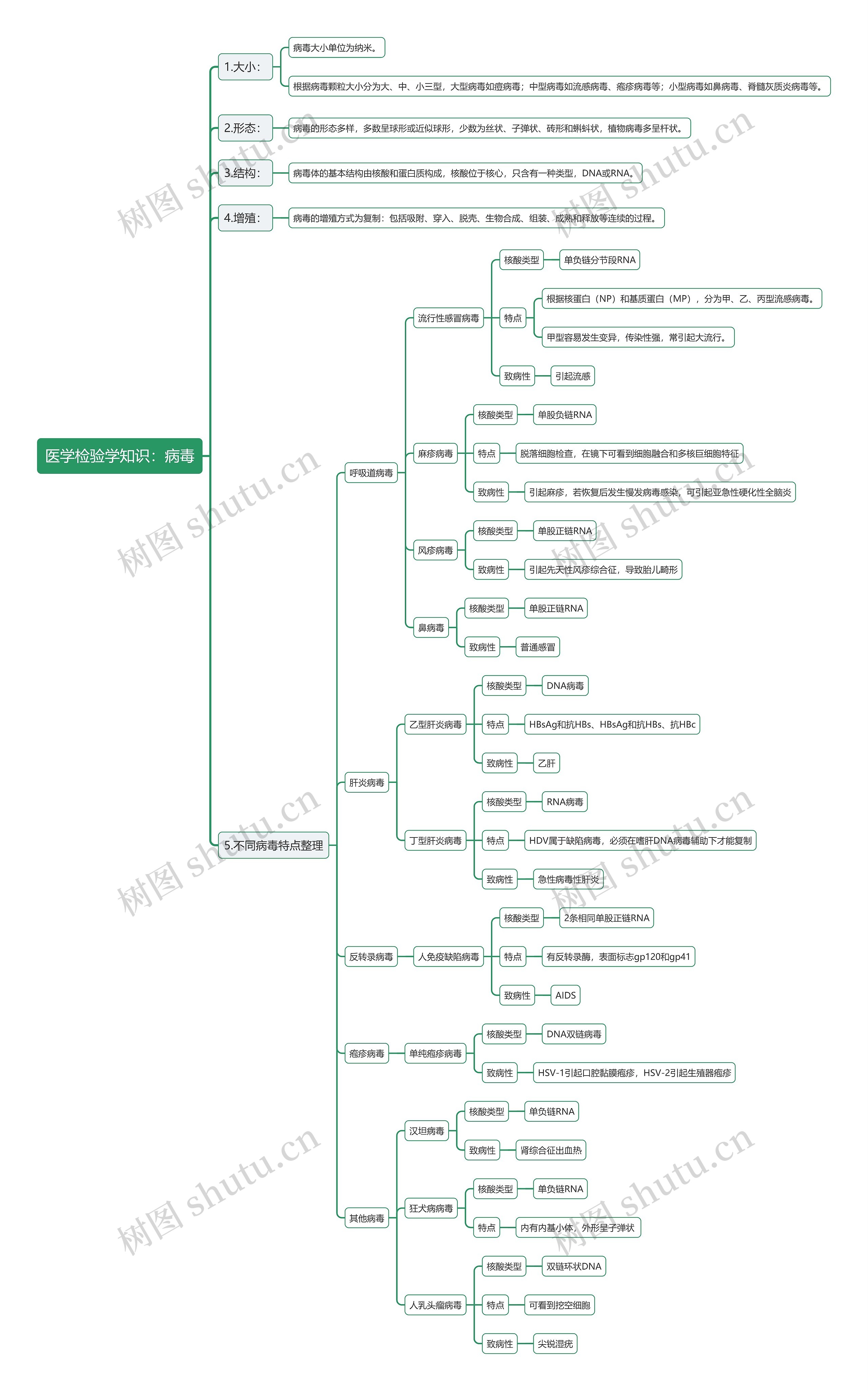 医学检验学知识：病毒思维导图