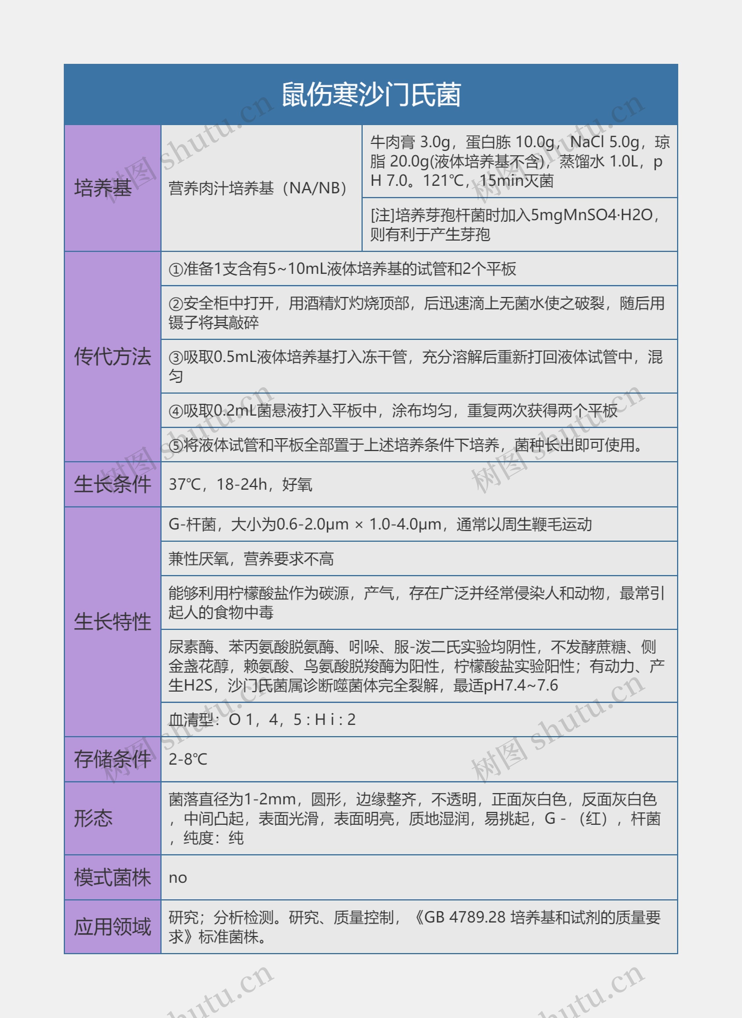 鼠伤寒沙门氏菌