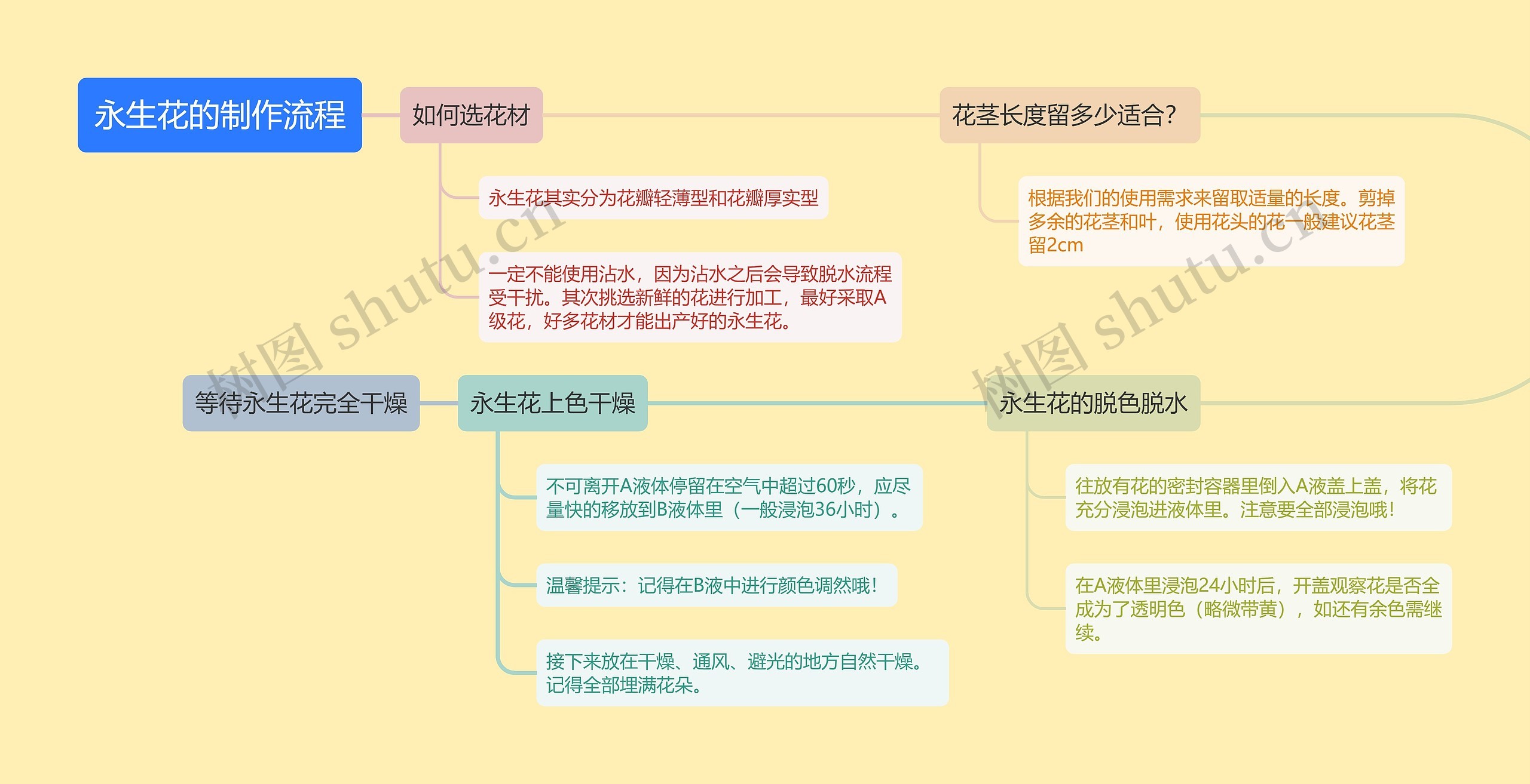 永生花的制作流程