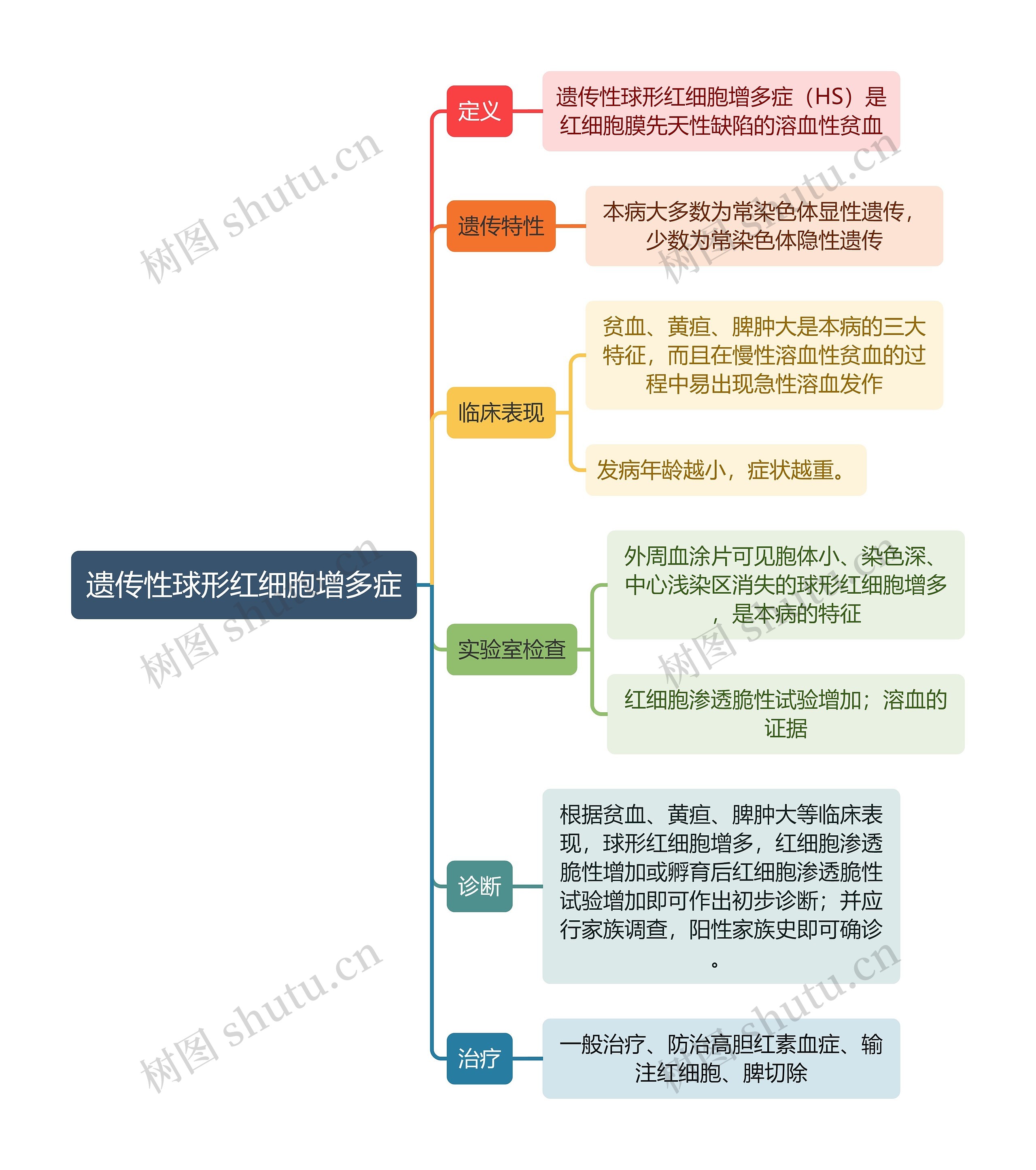 医学知识遗传性球形红细胞增多症思维导图