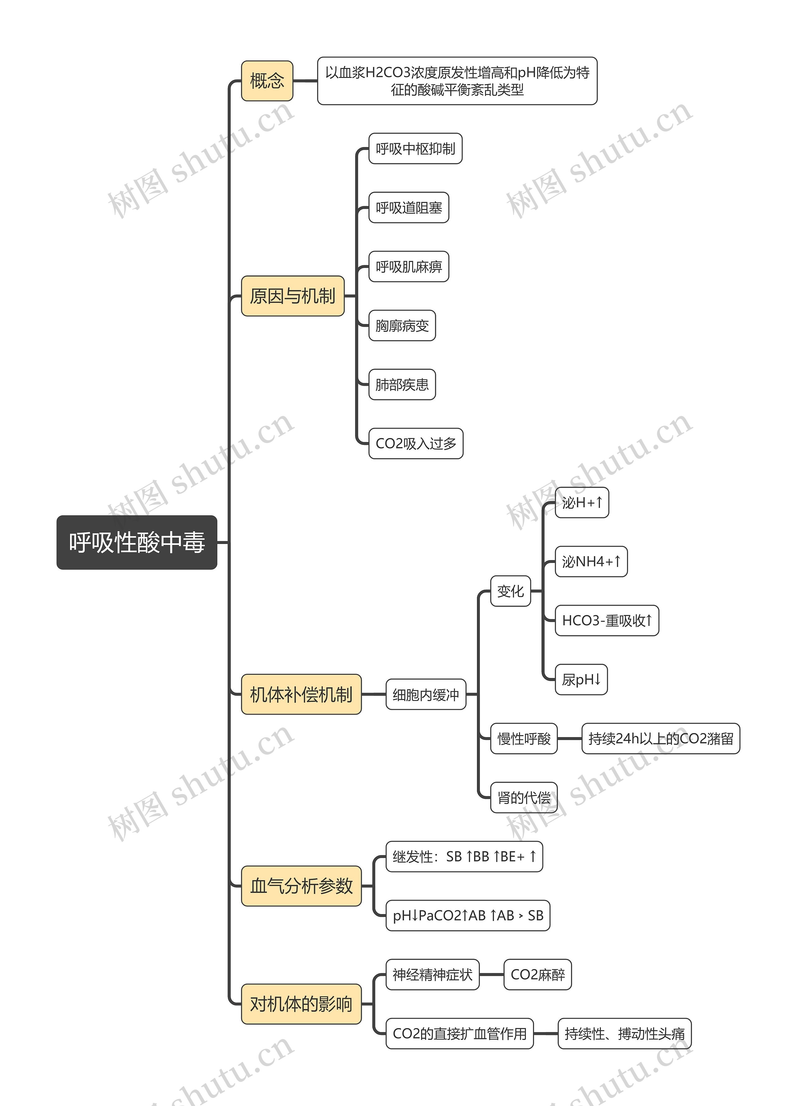 医学知识呼吸性酸中毒思维导图