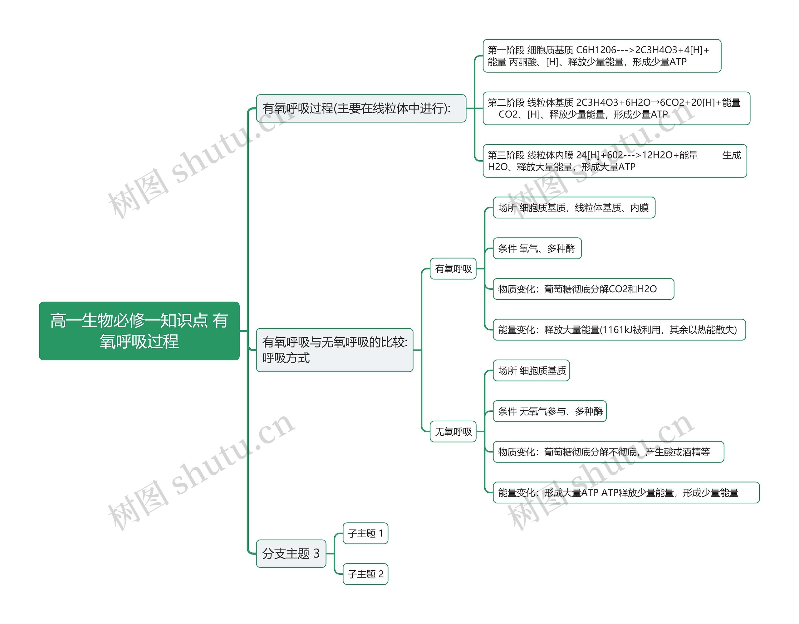 高一生物必修一知识点 有氧呼吸过程