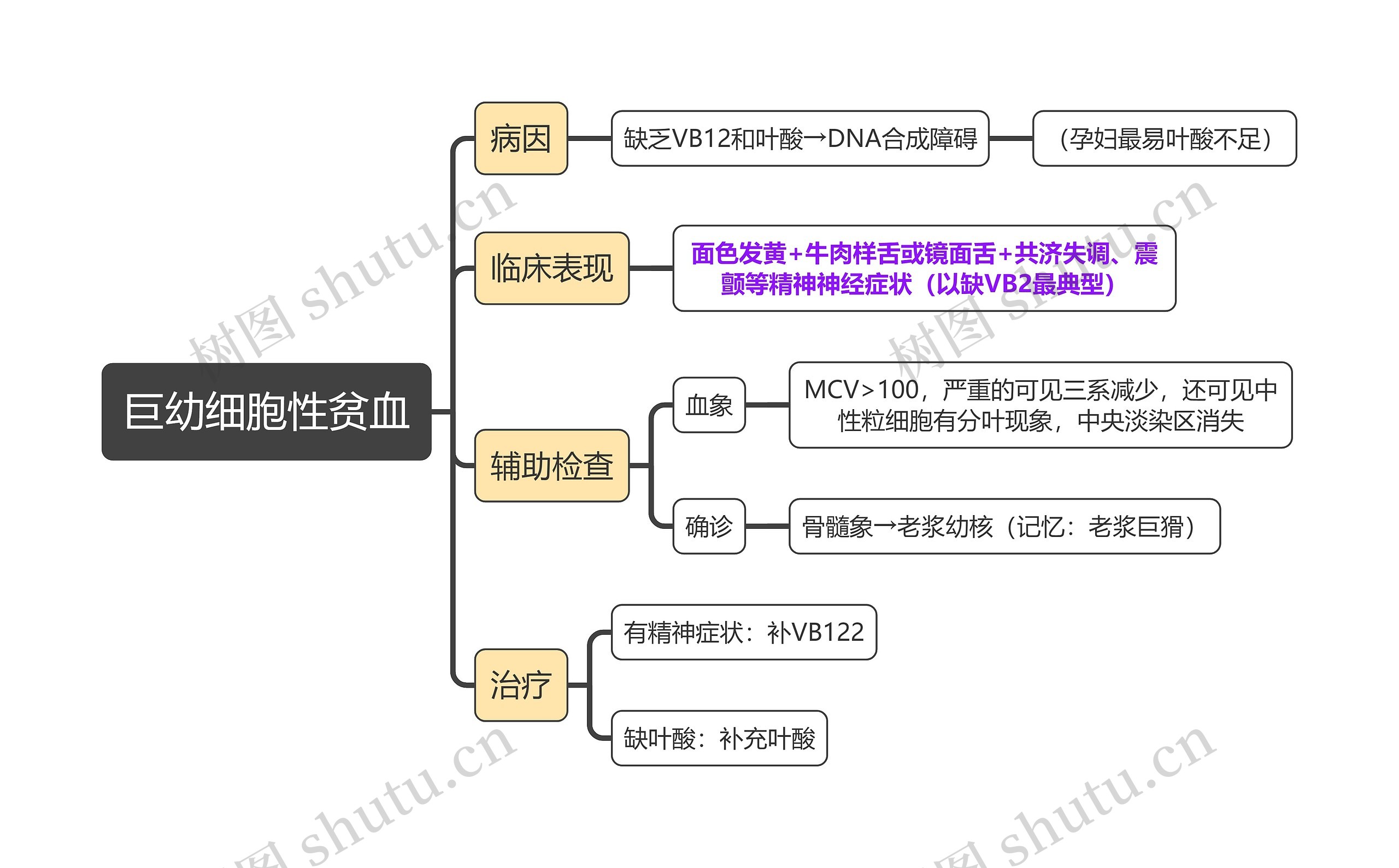 医学知识巨幼细胞性贫血思维导图