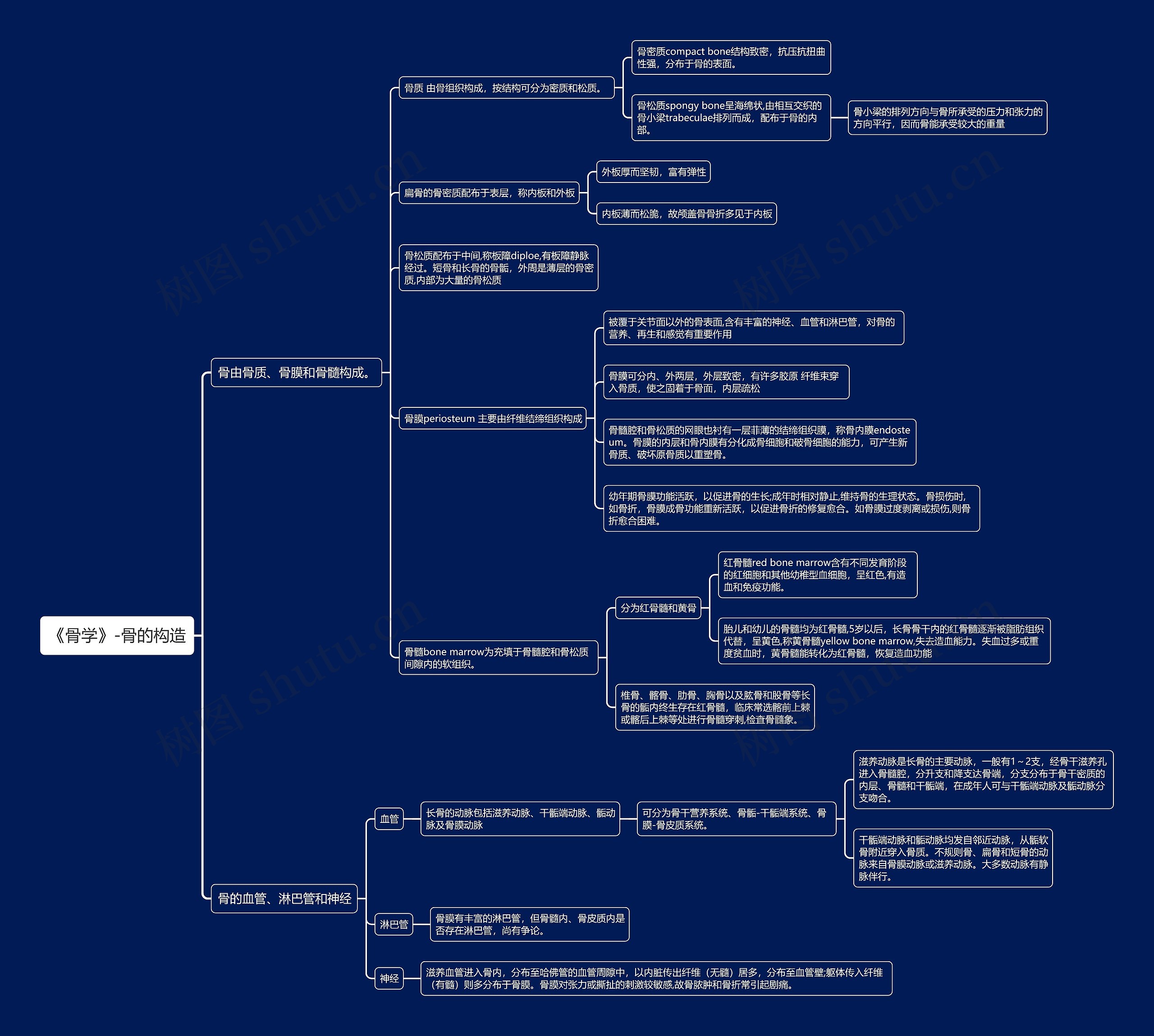 《骨学》-骨的构造思维导图