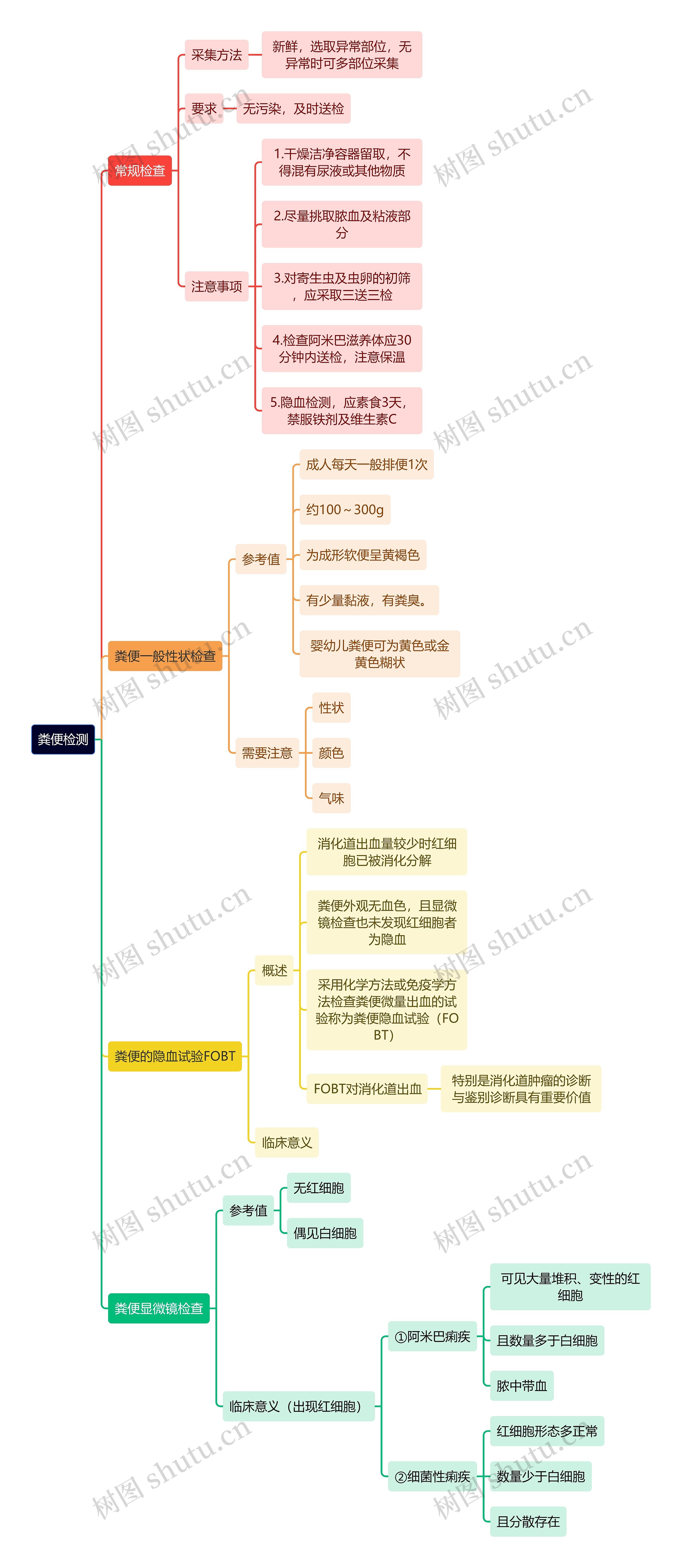 医学知识粪便检测思维导图