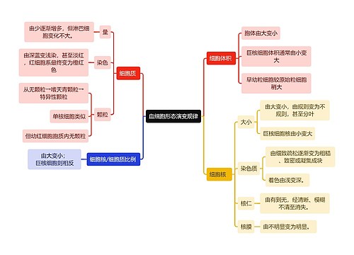 医学知识血细胞形态演变规律思维导图