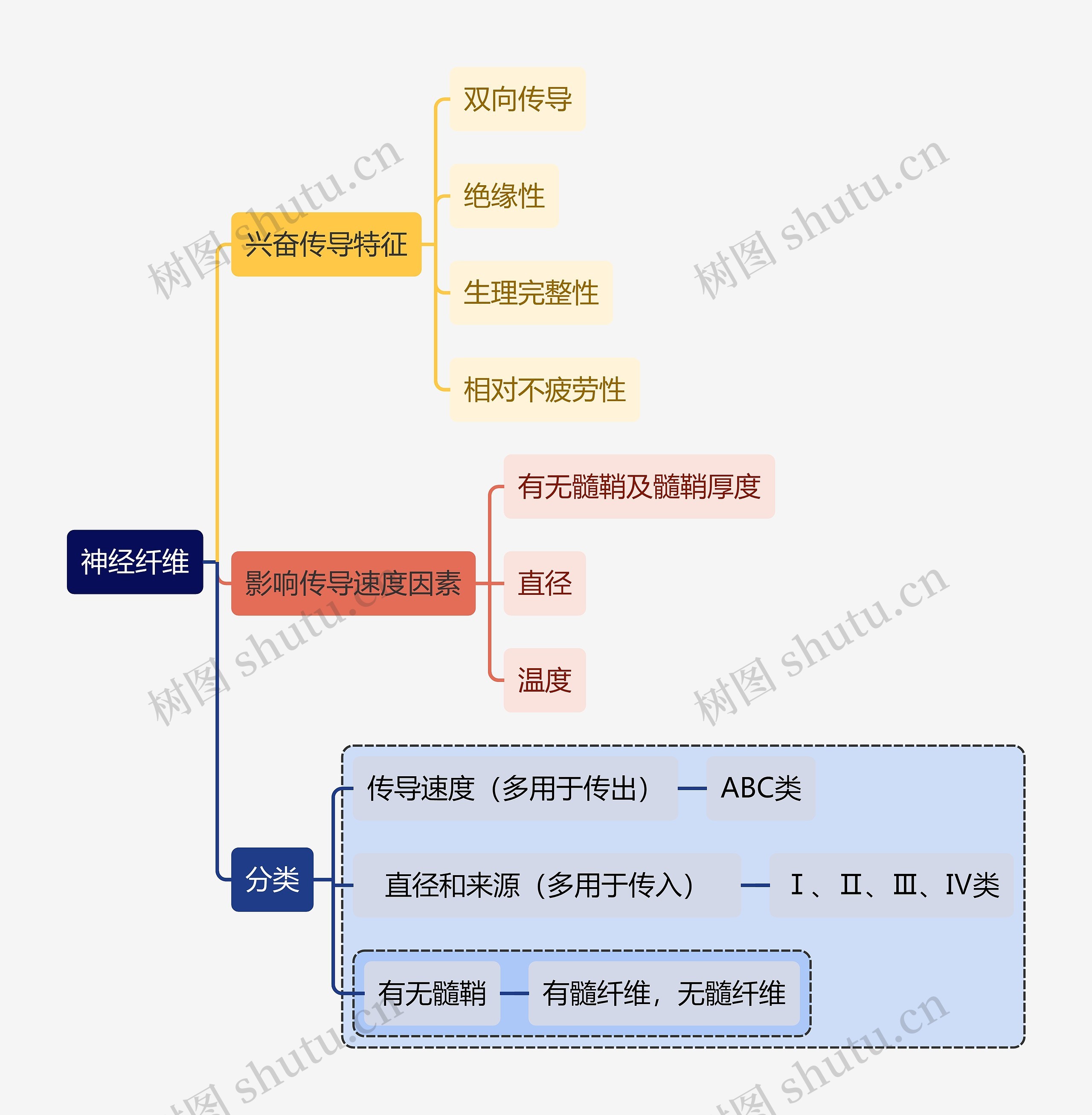 医学知识神经纤维思维导图