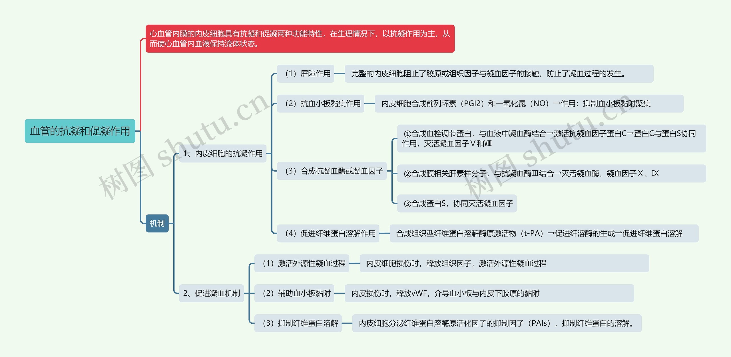 血管的抗凝和促凝作用思维导图高清图 血管的抗凝和促凝作用思维导图