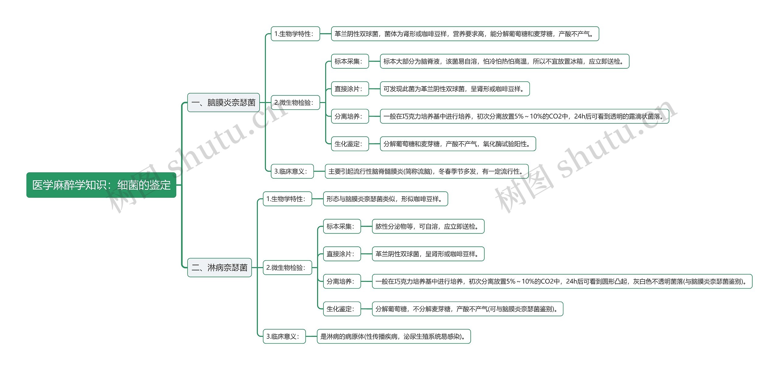 医学麻醉学知识：细菌的鉴定思维导图