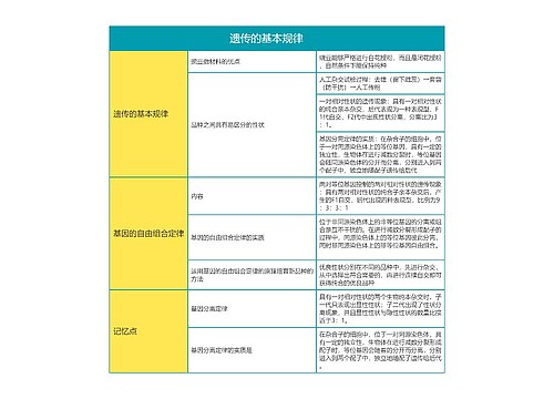 高中生物必修二遗传的基本规律思维导图