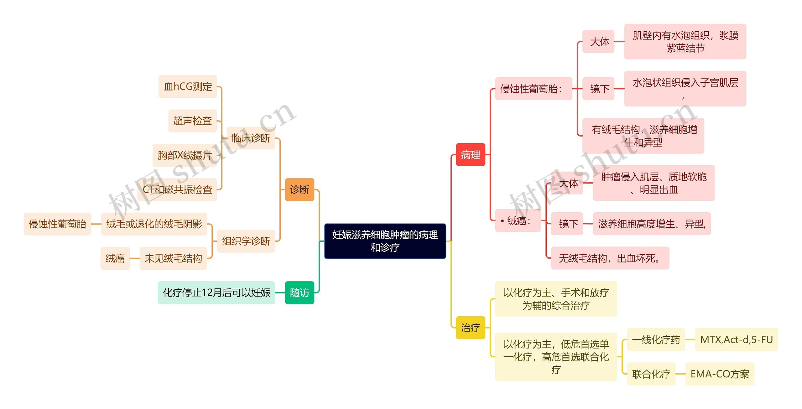 医学知识妊娠滋养细胞肿瘤的病理和诊疗思维导图高清图 医学知识妊娠滋养细胞肿瘤的病理和诊疗思维导图