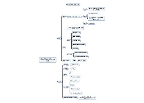 医学知识细粒棘球绦虫的形态和生活史思维导图