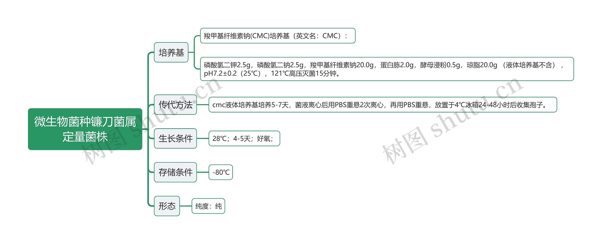 微生物菌种镰刀菌属定量菌株思维导图