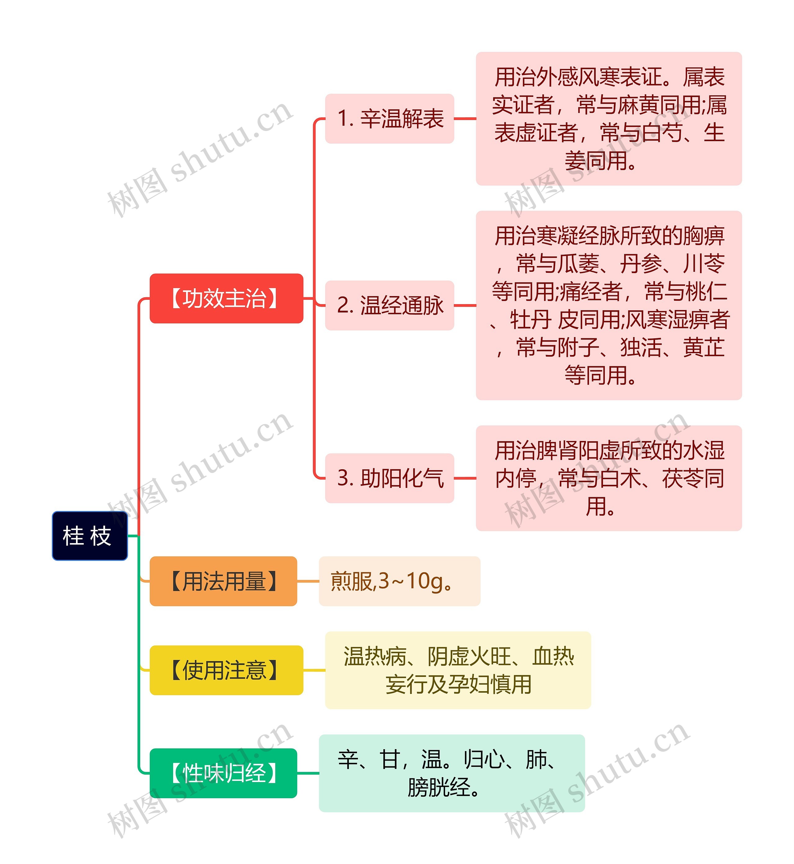 中医知识桂枝思维导图