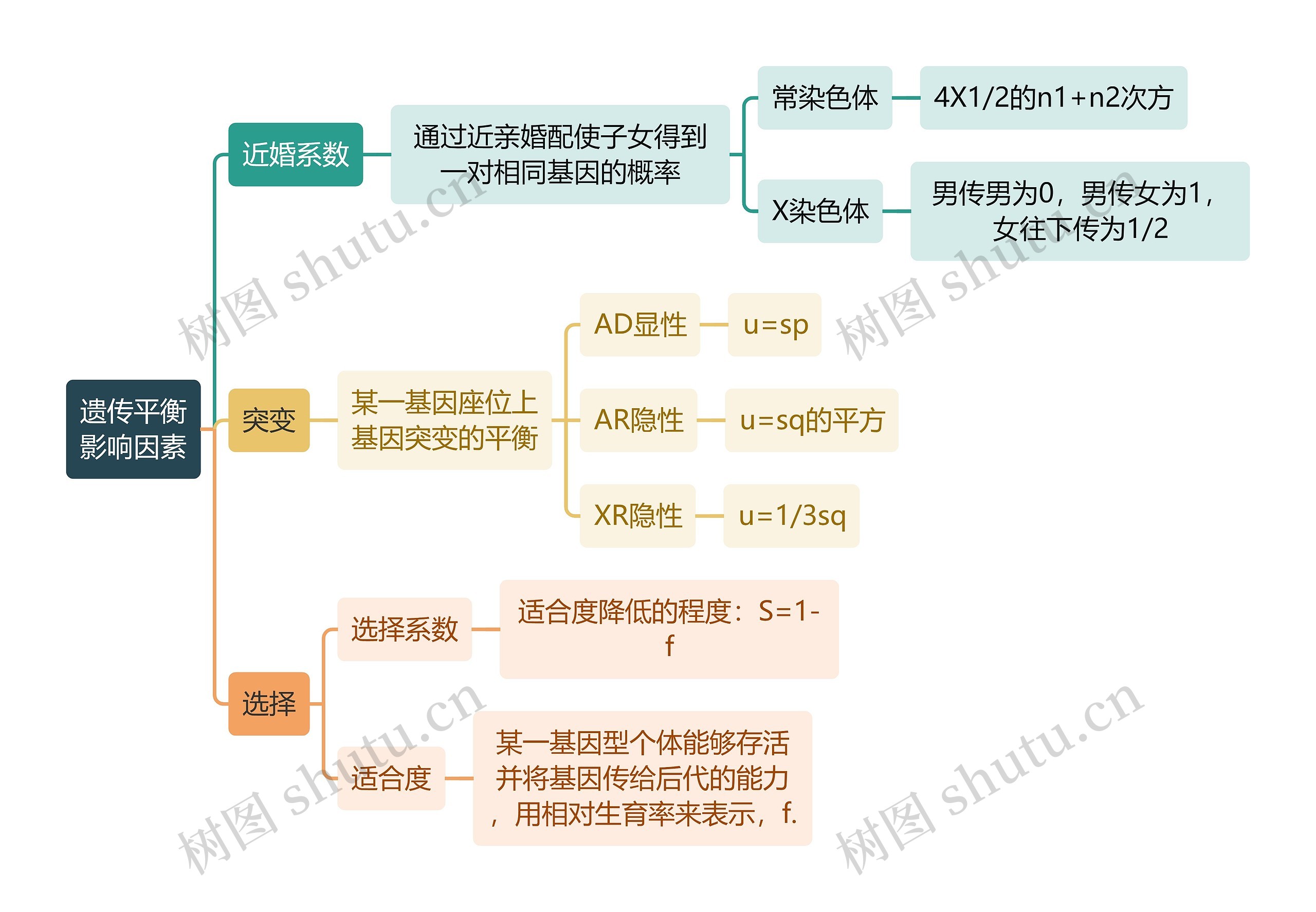 医学知识遗传平衡影响因素思维导图高清图 医学知识遗传平衡影响因素思维导图