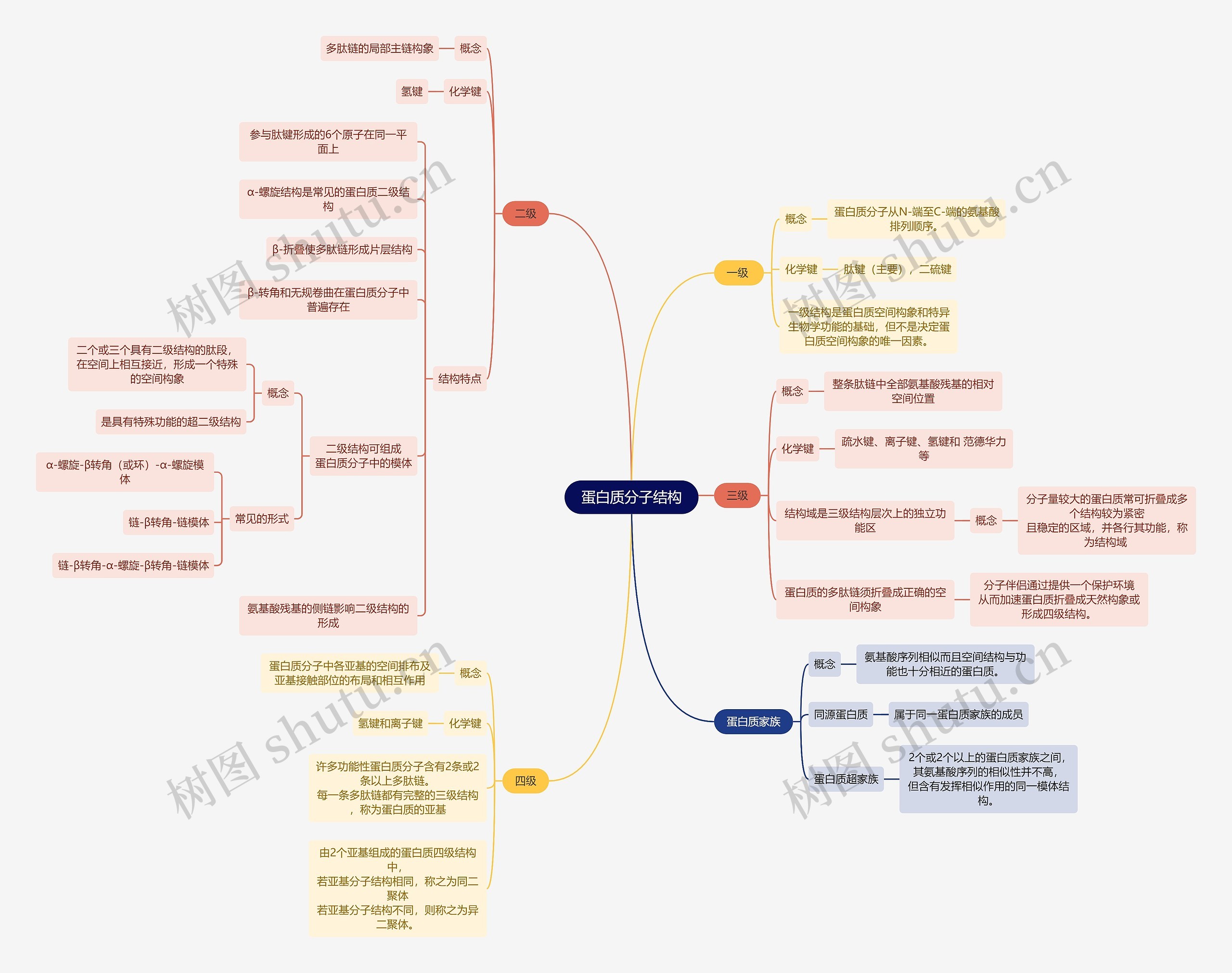 生化知识蛋白质分子结构思维导图