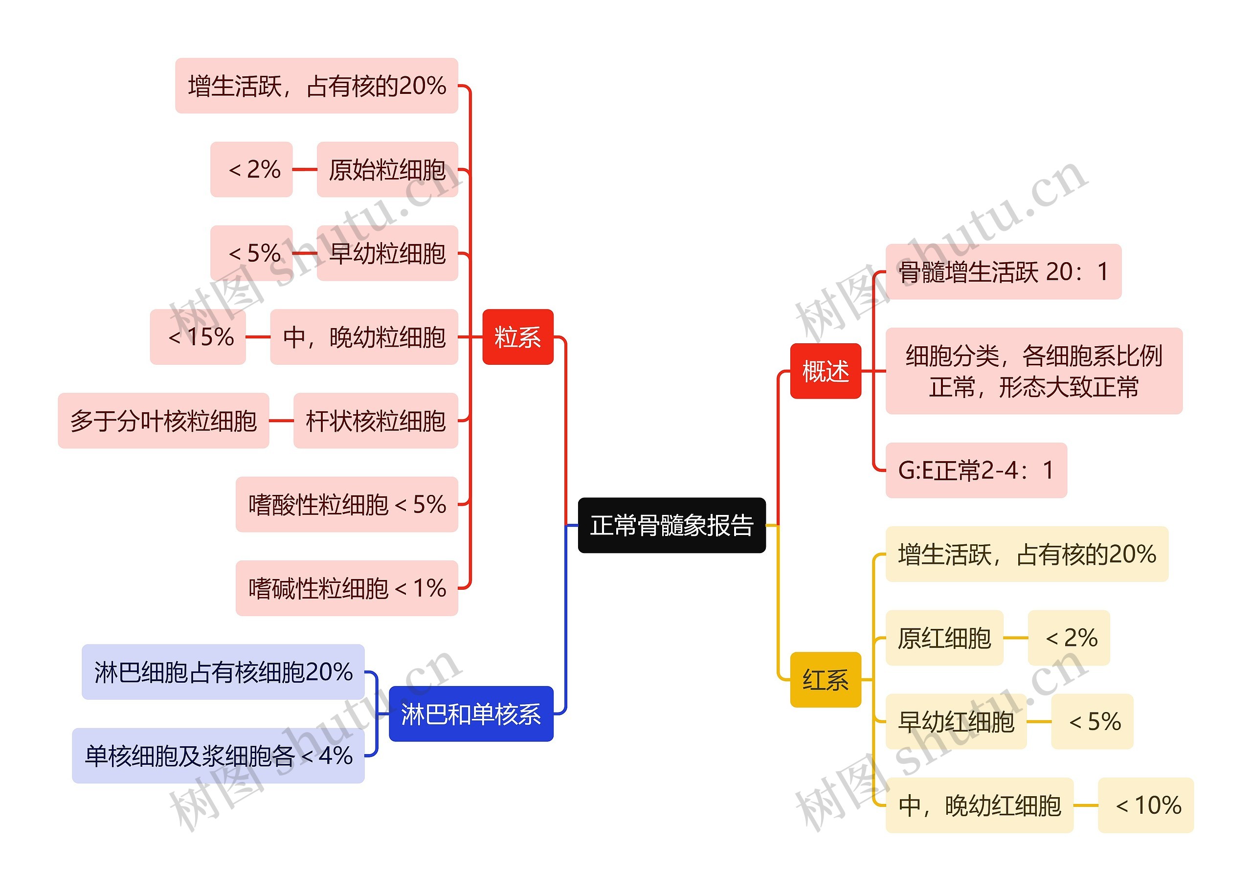 医学知识正常骨髓象报告思维导图
