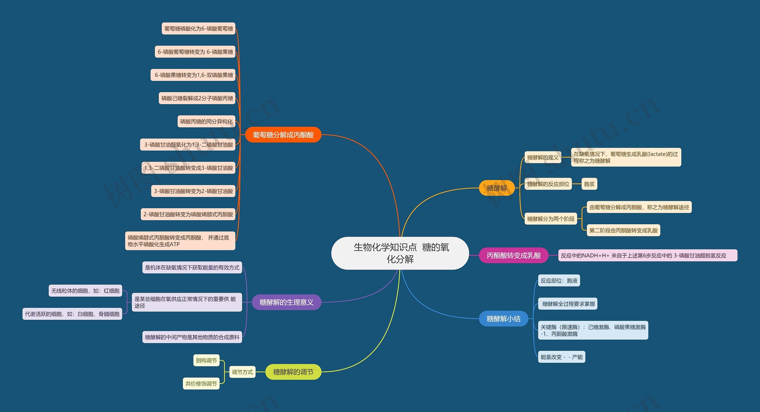 生物化学知识点 糖的氧化分解思维导图高清图 生物化学知识点 糖的氧化分解思维导图