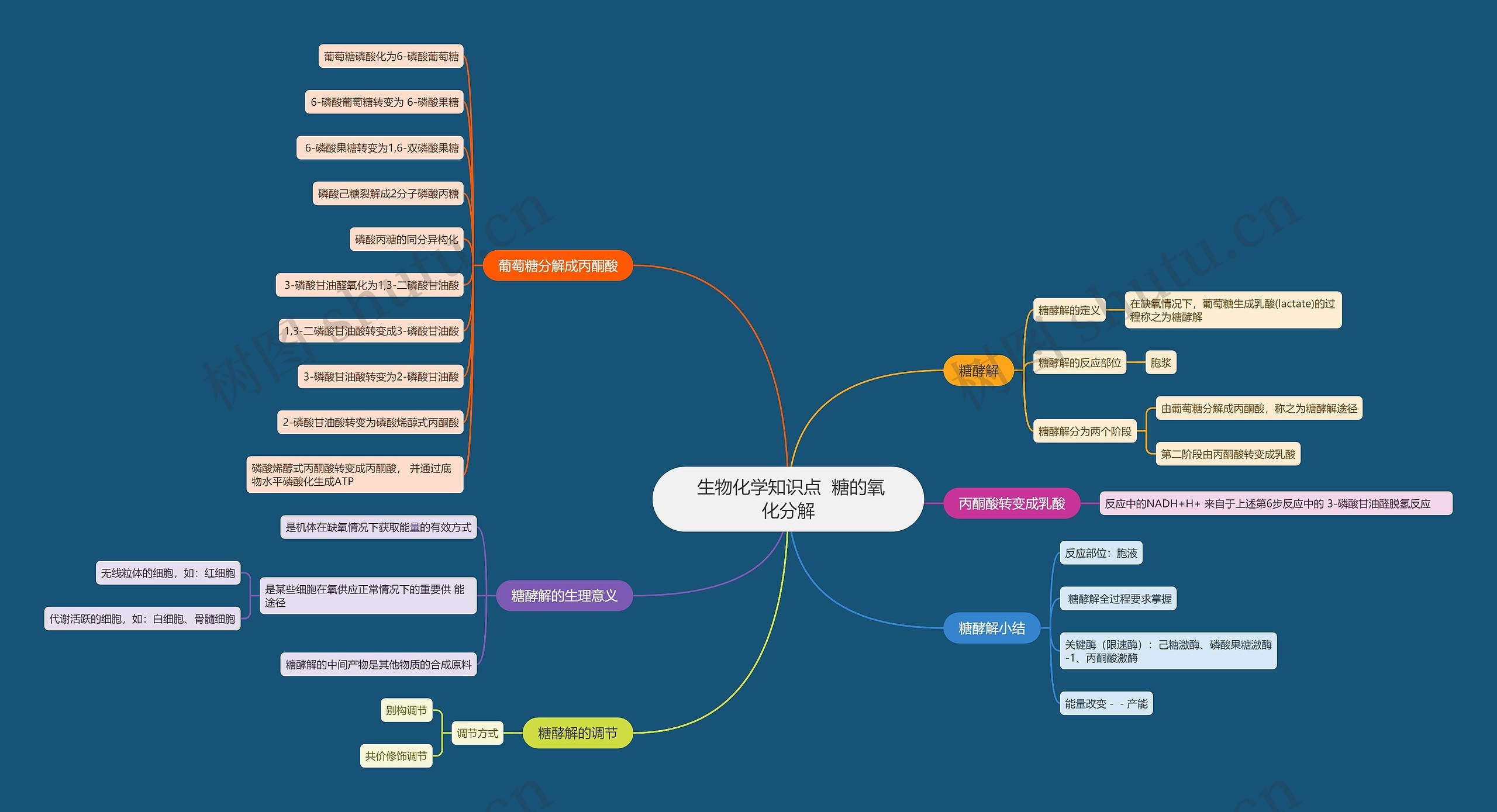  生物化学知识点  糖的氧化分解思维导图