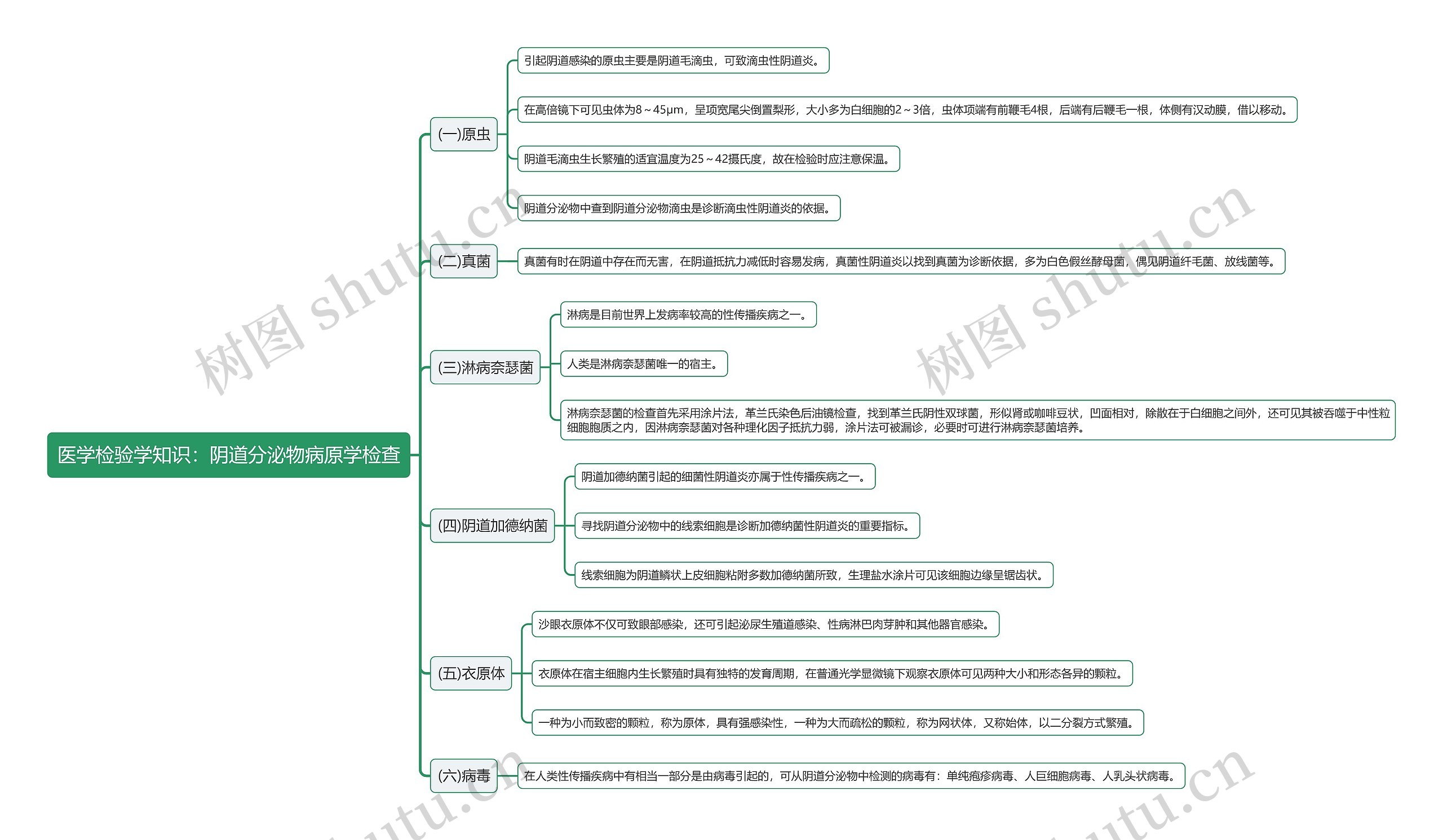 医学检验学知识：阴道分泌物病原学检查思维导图