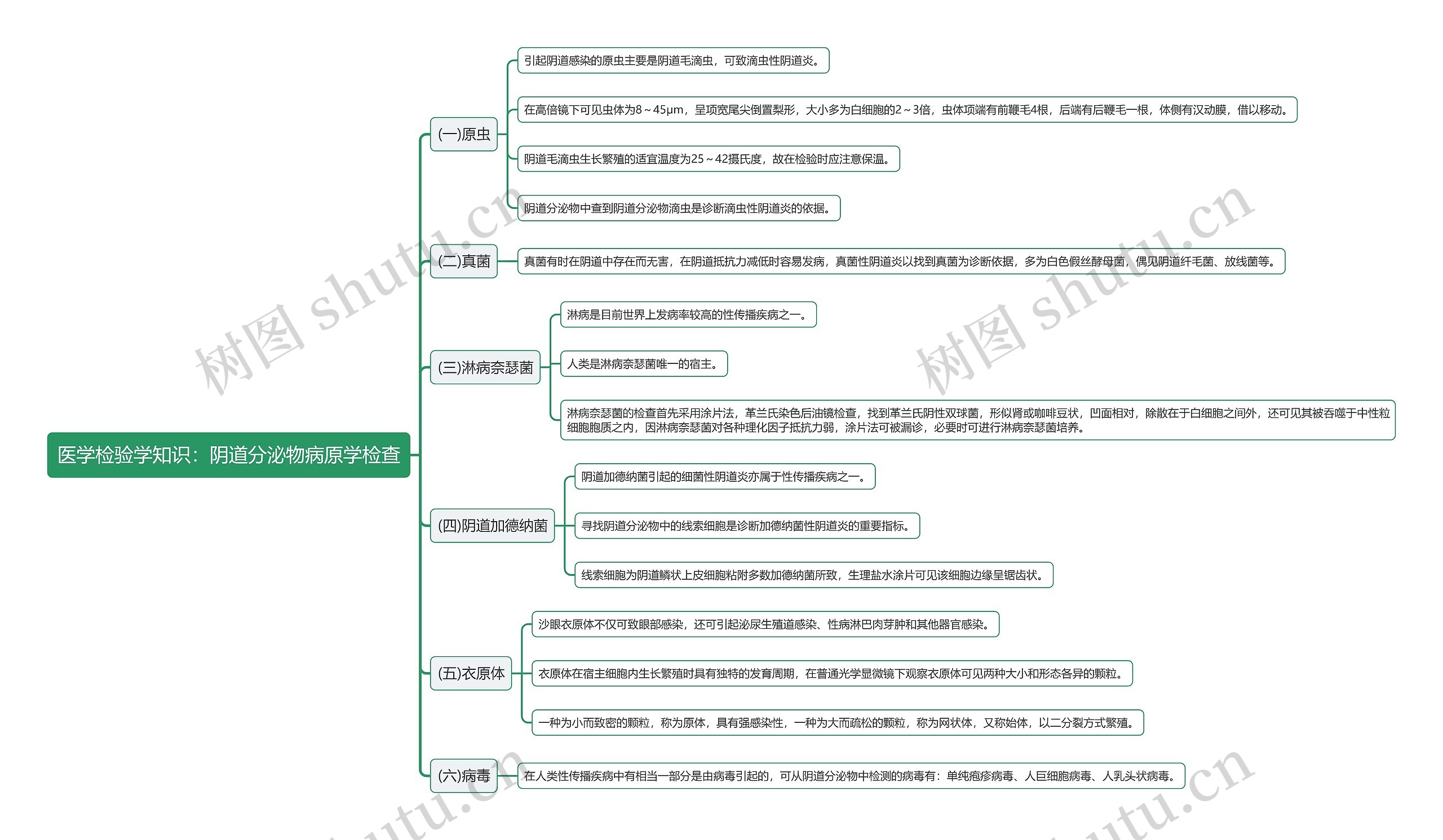 医学检验学知识:阴道分泌物病原学检查思维导图高清图 医学检验学知识:阴道分泌物病原学检查思维导图