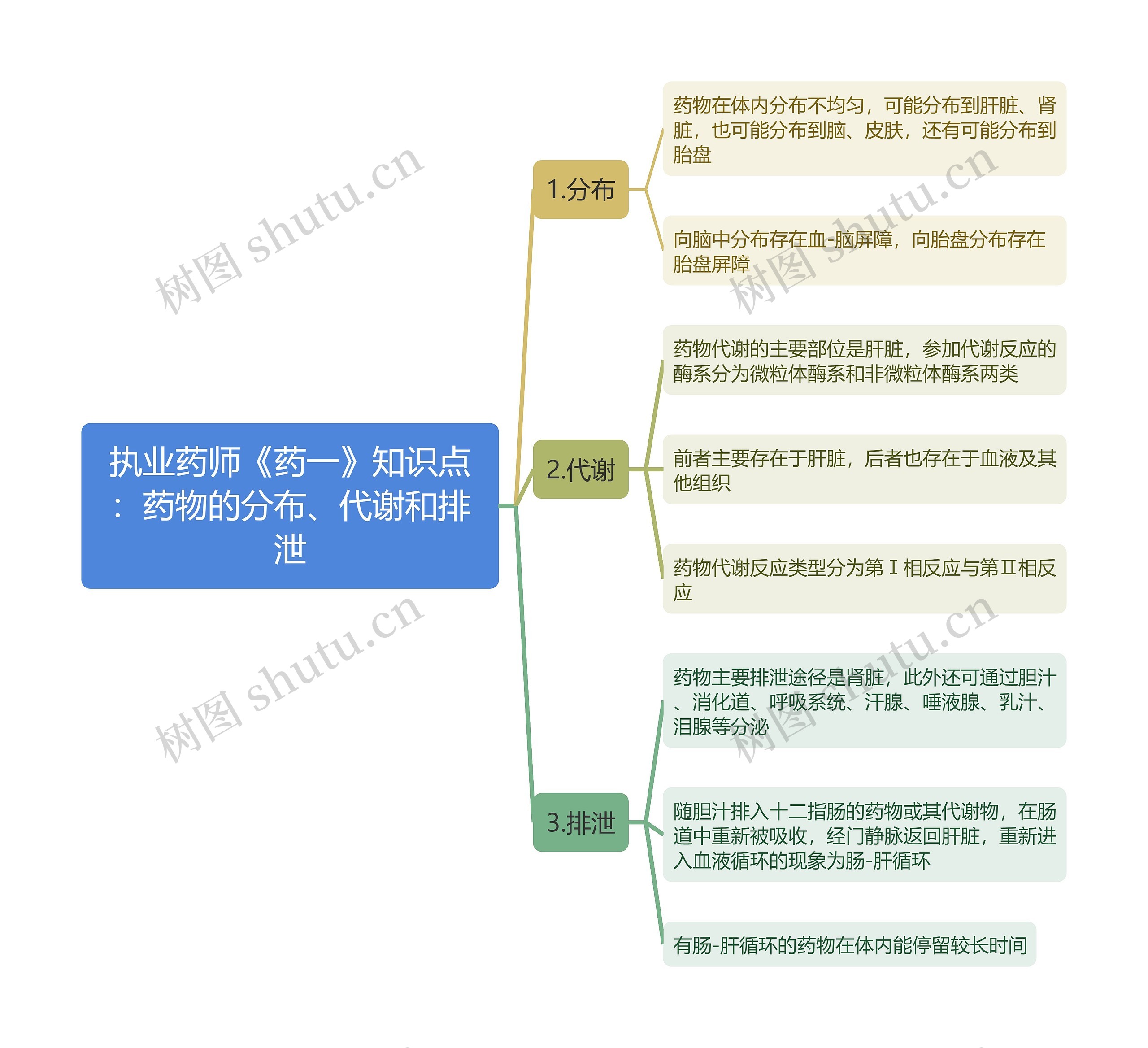 执业药师《药一》知识点：药物的分布、代谢和排泄