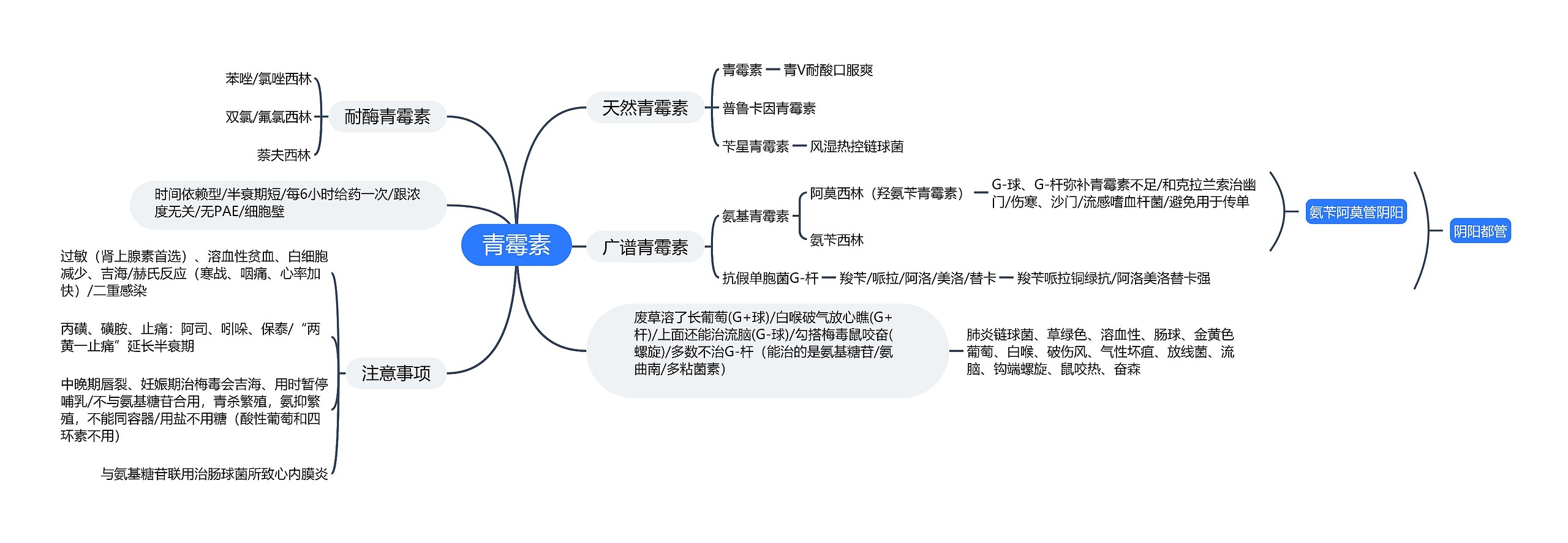 青霉素思维导图