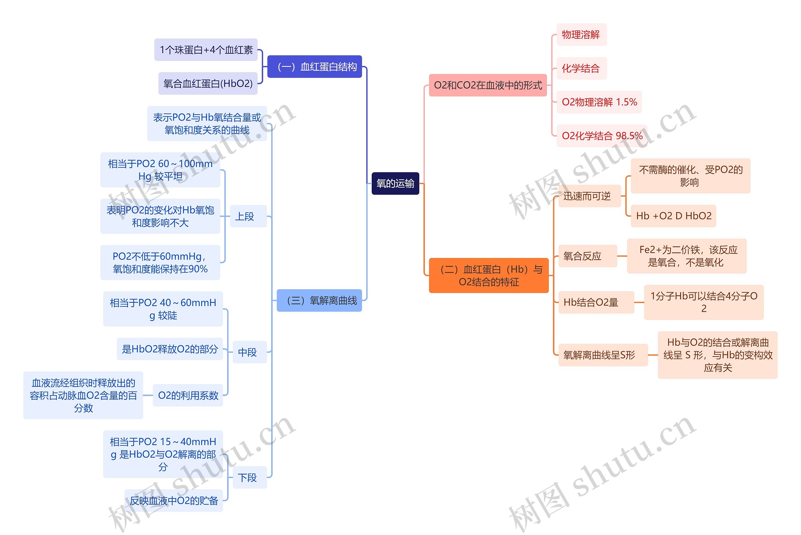 医学知识氧的运输思维导图