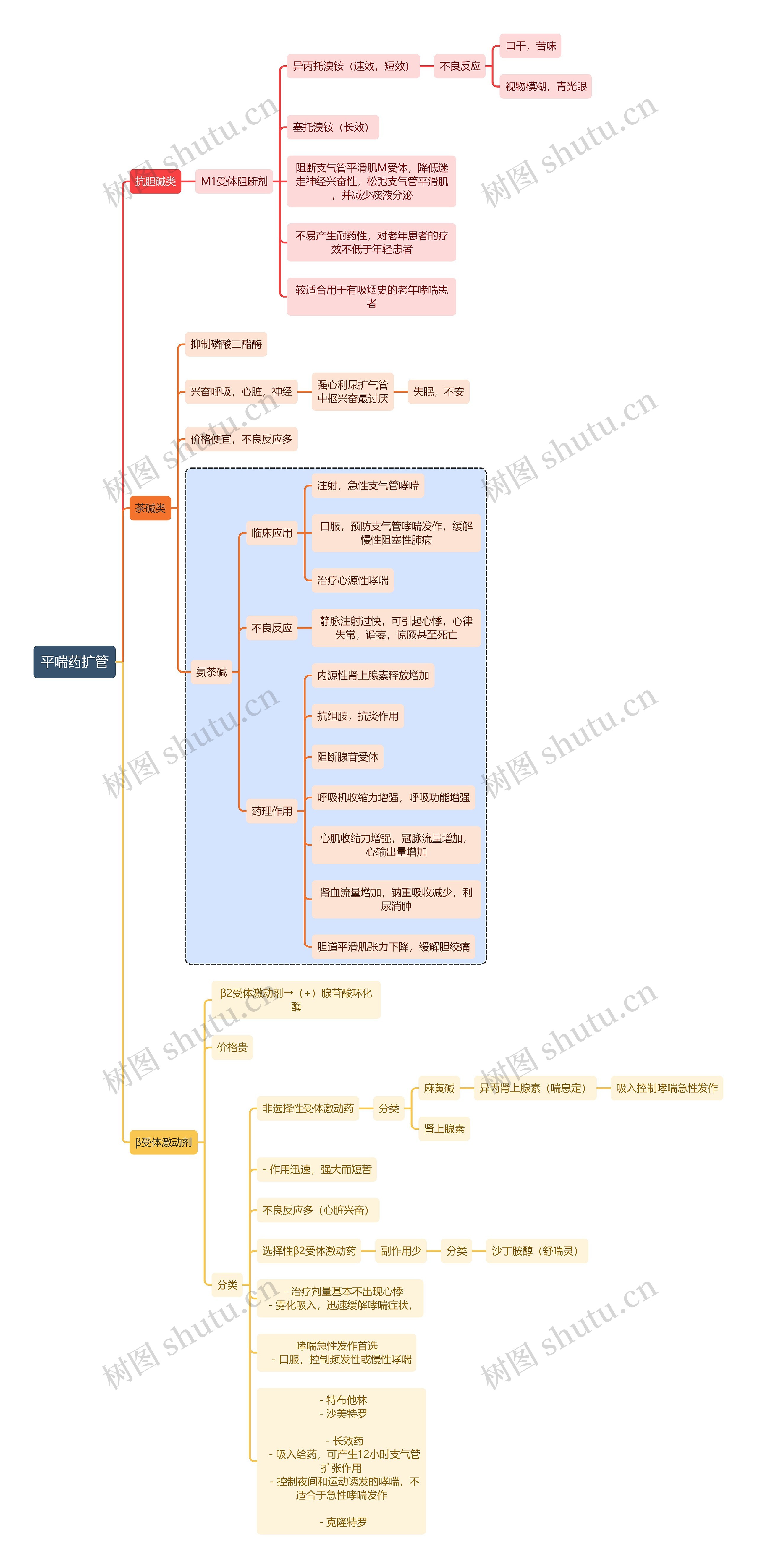 医学平喘药扩管思维导图