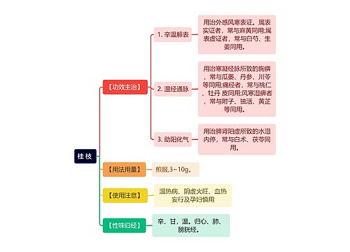 中医知识桂枝思维导图