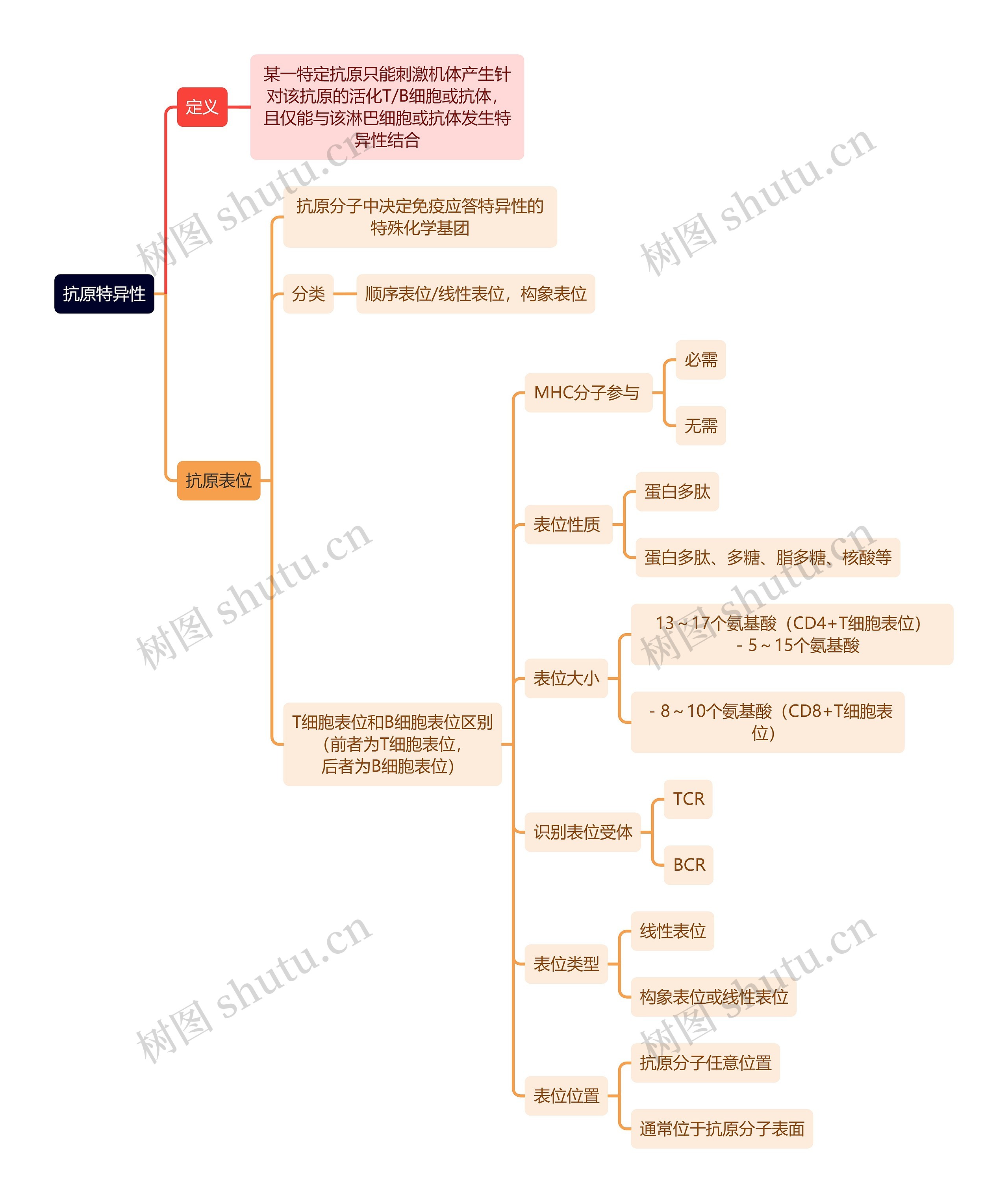 医学知识抗原特异性思维导图