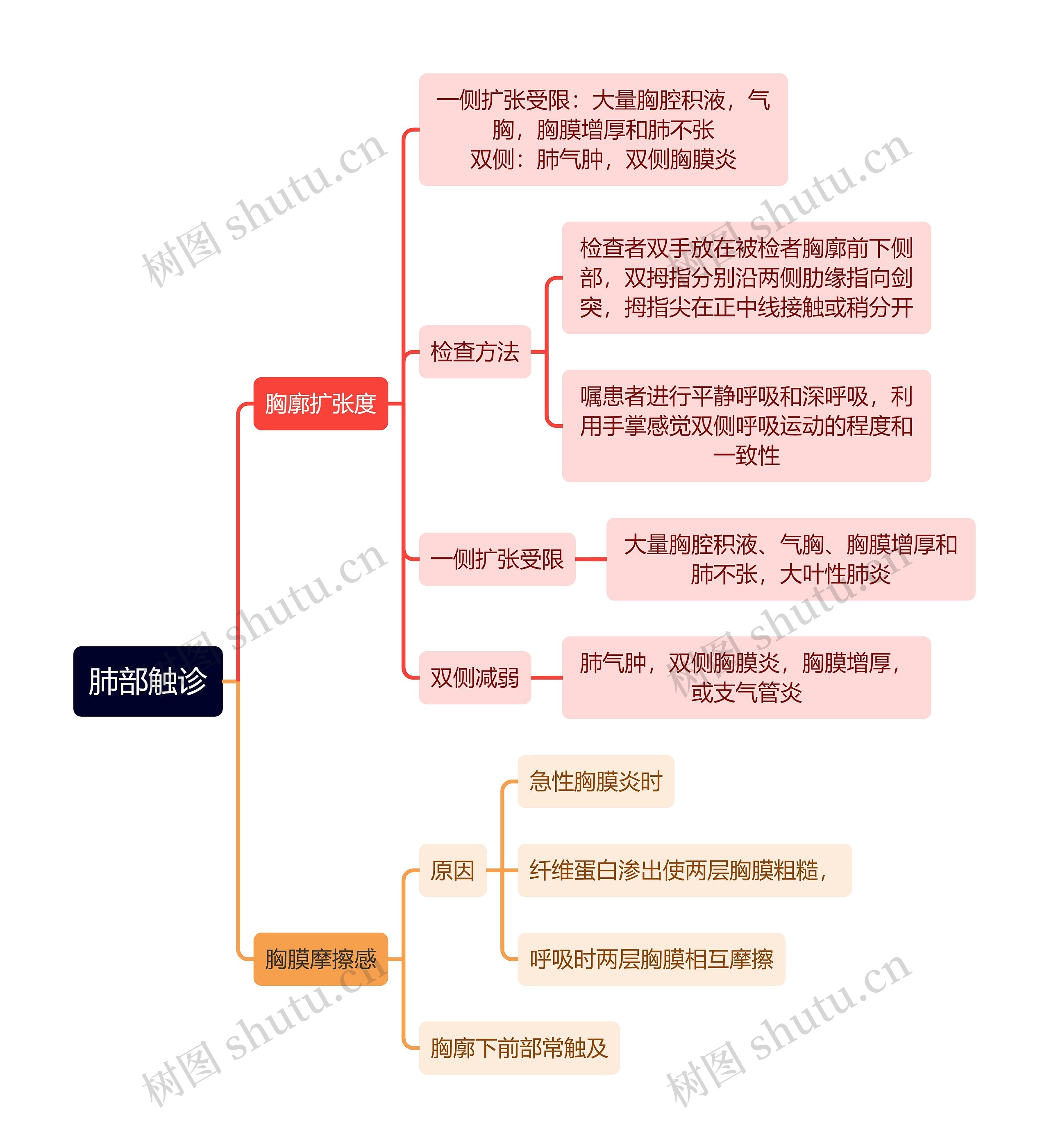 医学知识肺部触诊思维导图