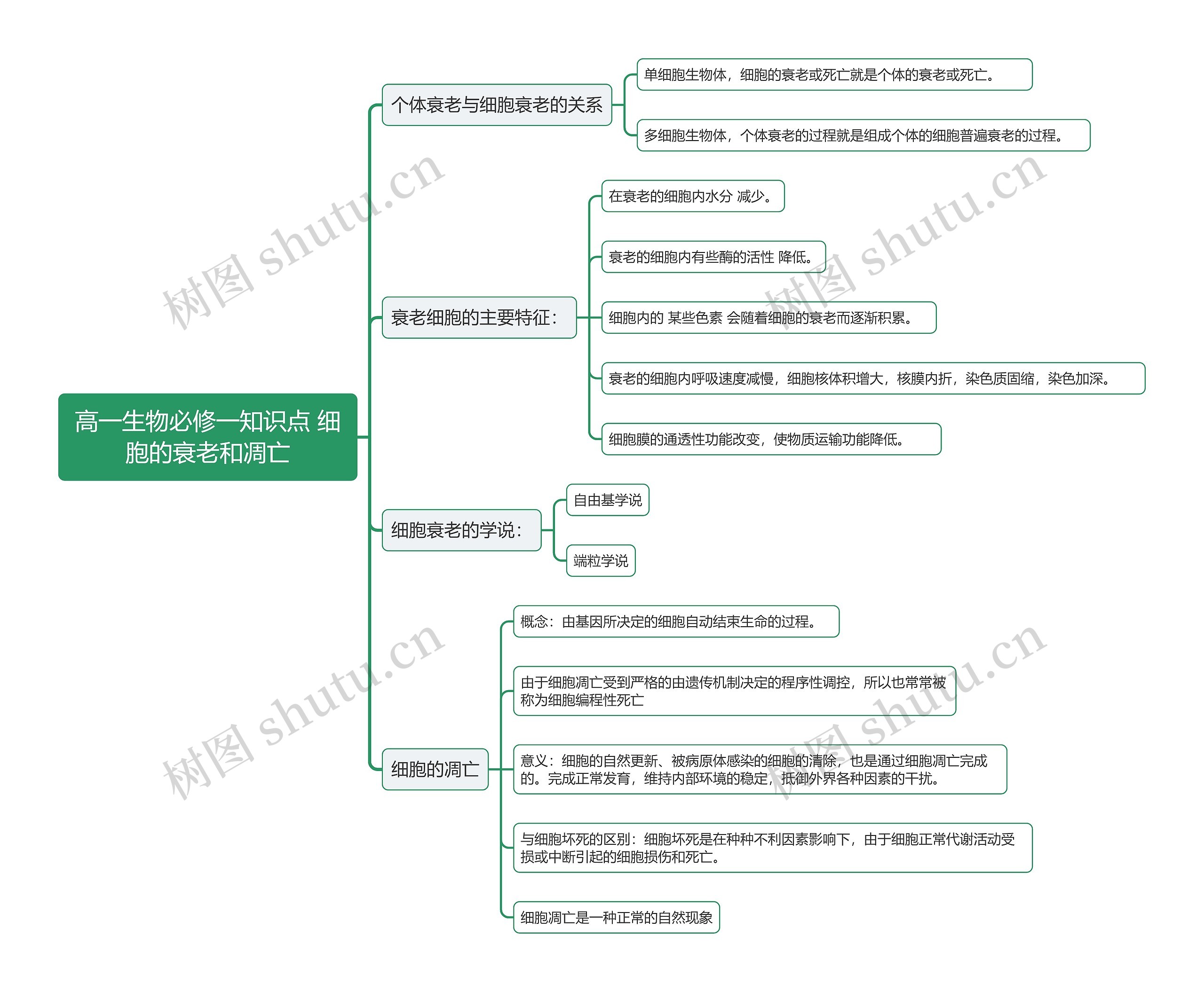高一生物必修一知识点 细胞的衰老和凋亡