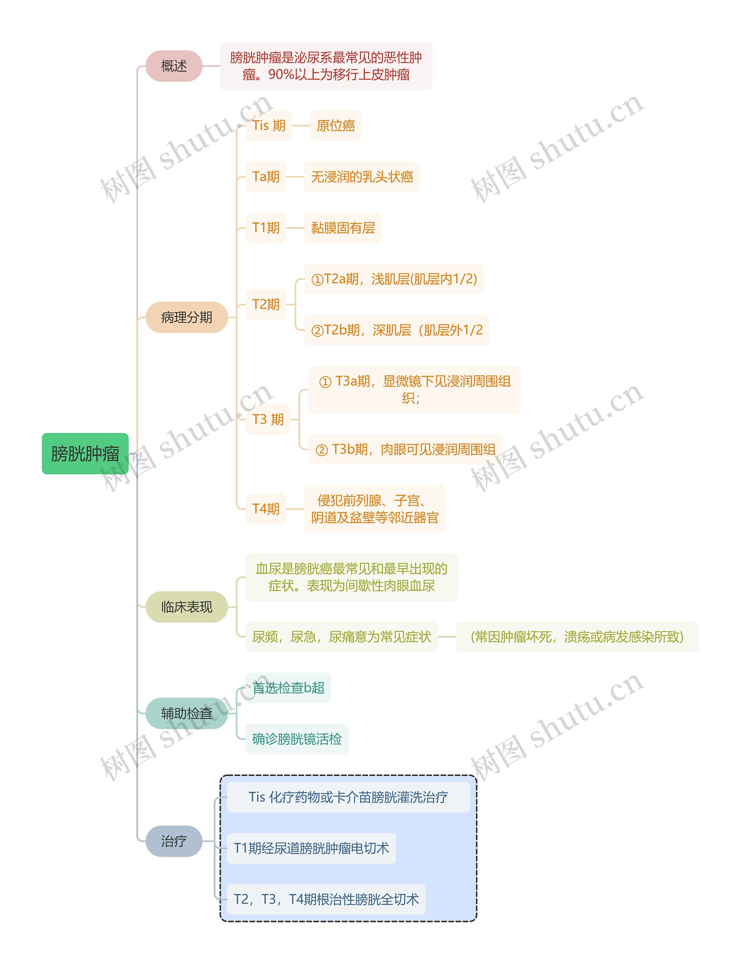 内科知识膀胱肿瘤思维导图