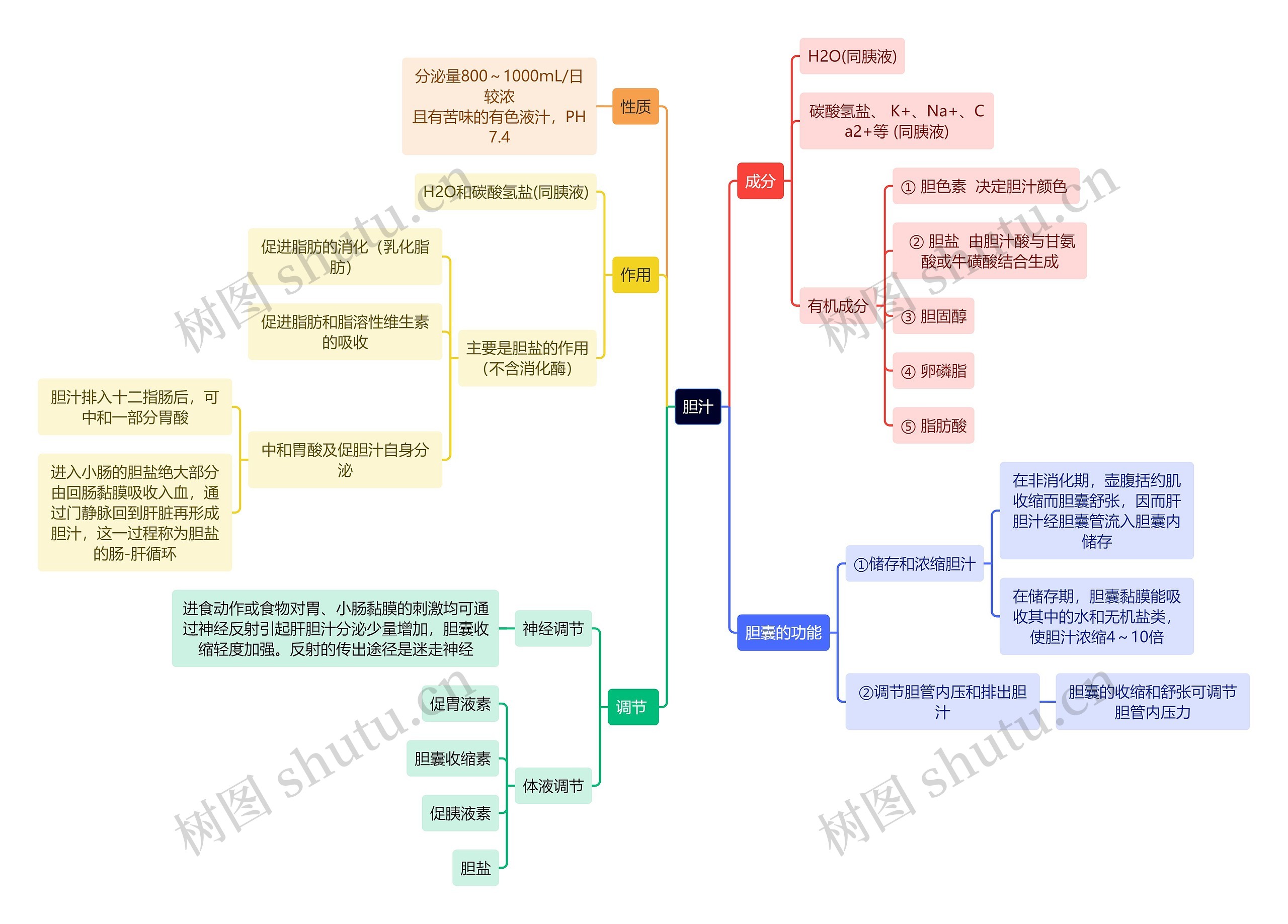 医学知识胆汁思维导图