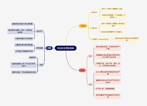 医学知识绦虫的生理和致病思维导图