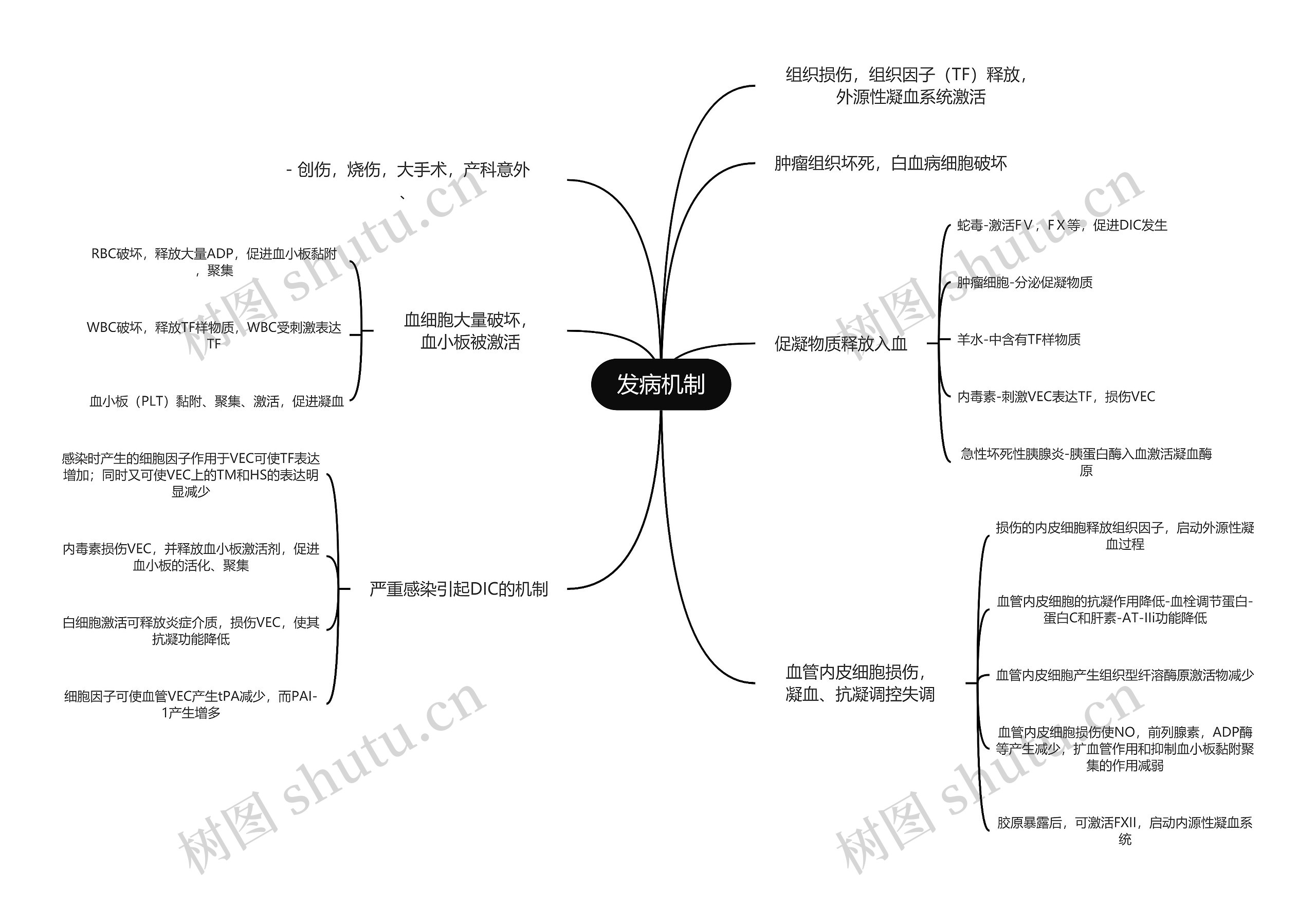 医学知识发病机制思维导图