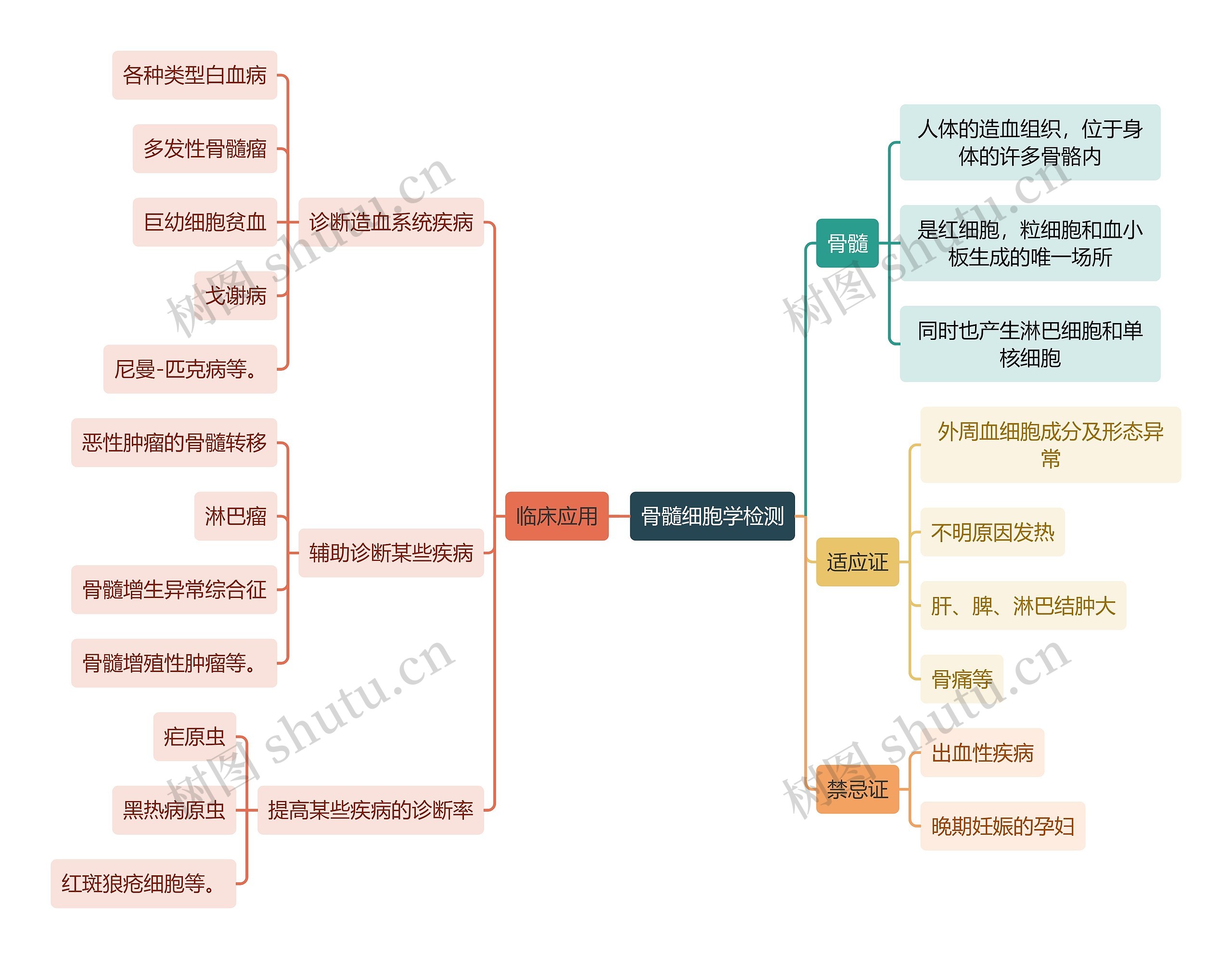 医学知识骨髓细胞学检测思维导图