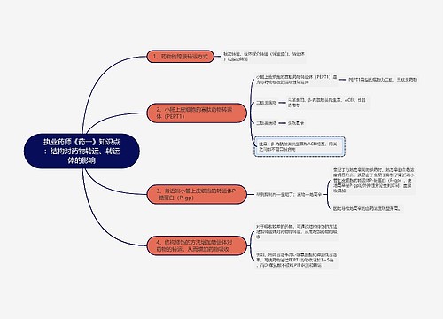 执业药师《药一》知识点：结构对药物转运、转运体的影响