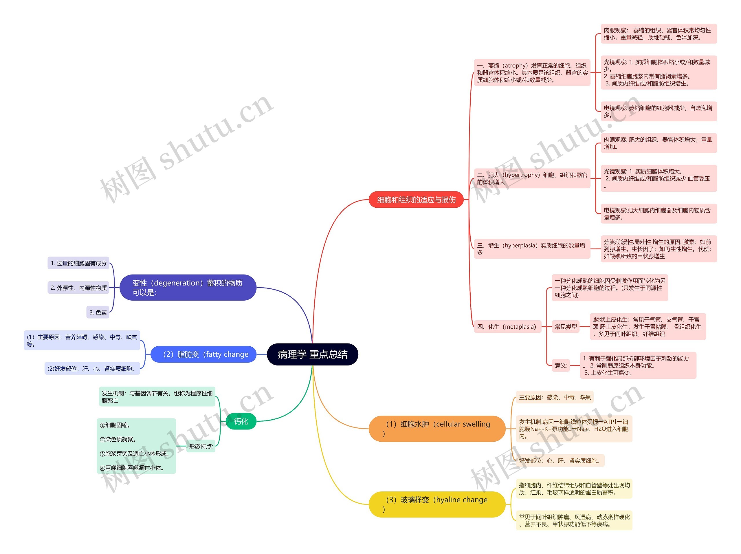 病理学 重点总结思维导图高清图 病理学 重点总结思维导图