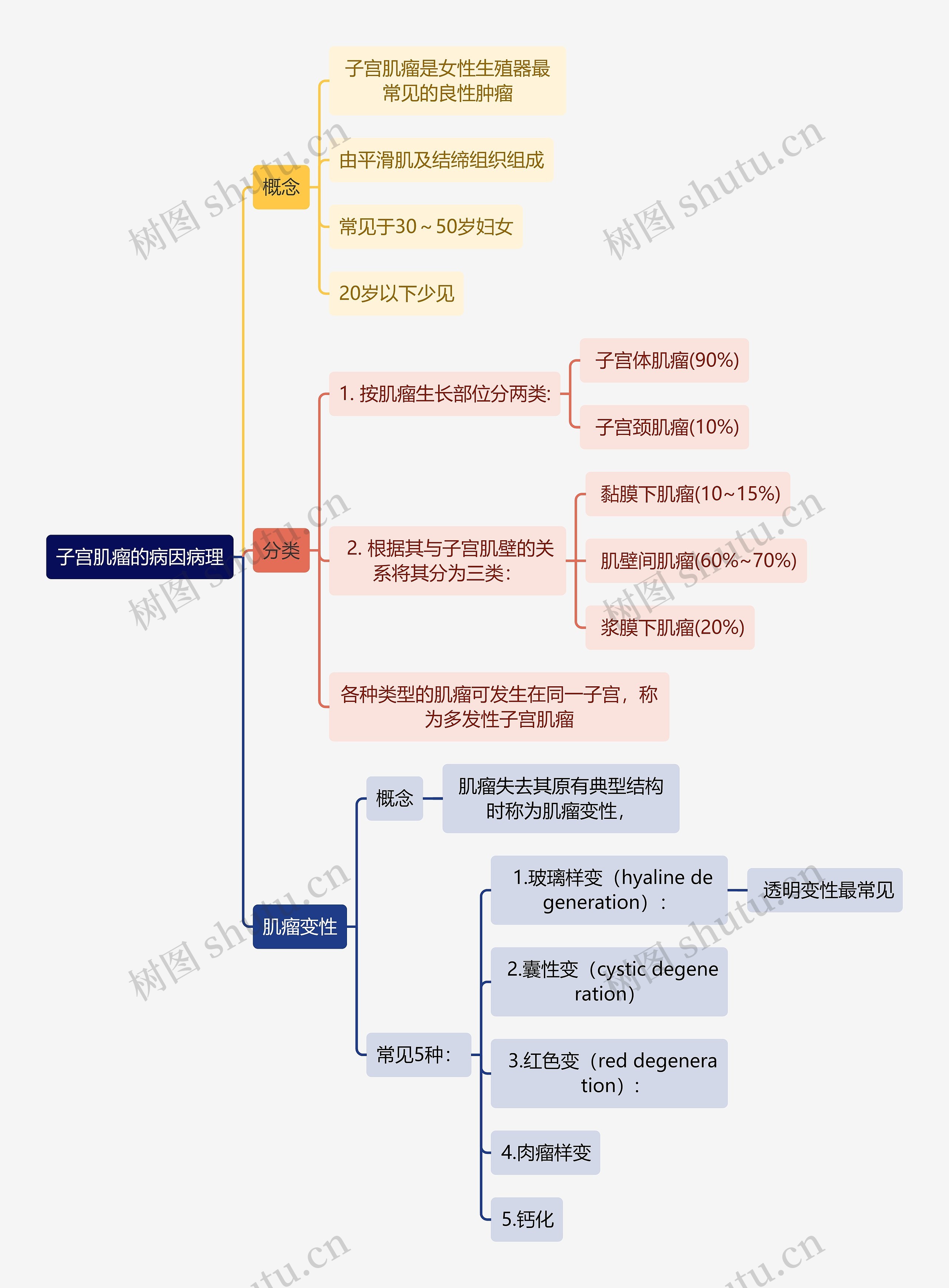 医学知识子宫肌瘤的病因病理思维导图