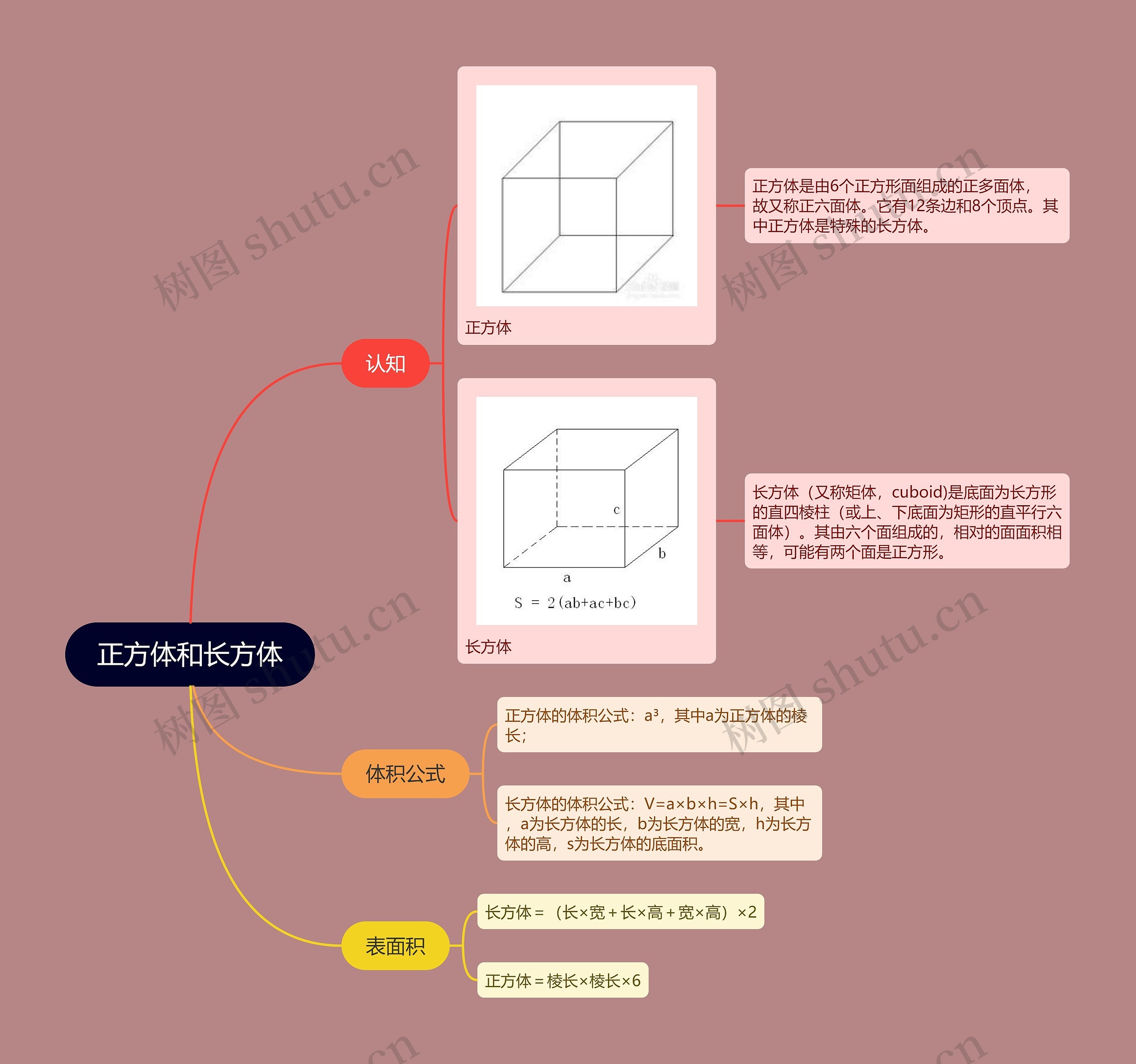 ﻿正方体和长方体的思维导图