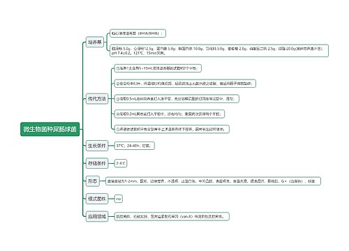 微生物菌种屎肠球菌思维导图