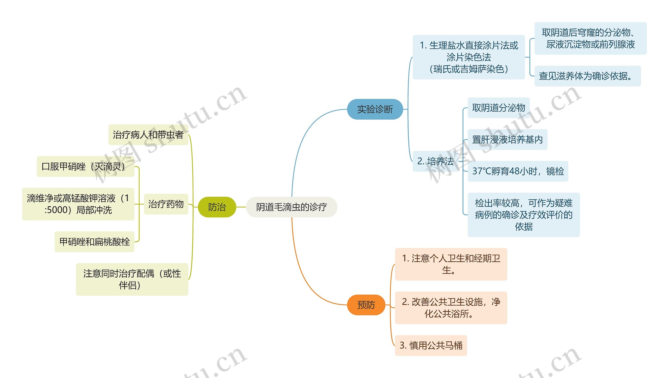 医学知识阴道毛滴虫的诊疗思维导图